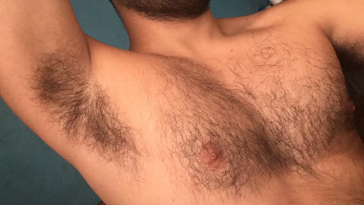 Iâ€™m letting my chest hair grow, do you like it?