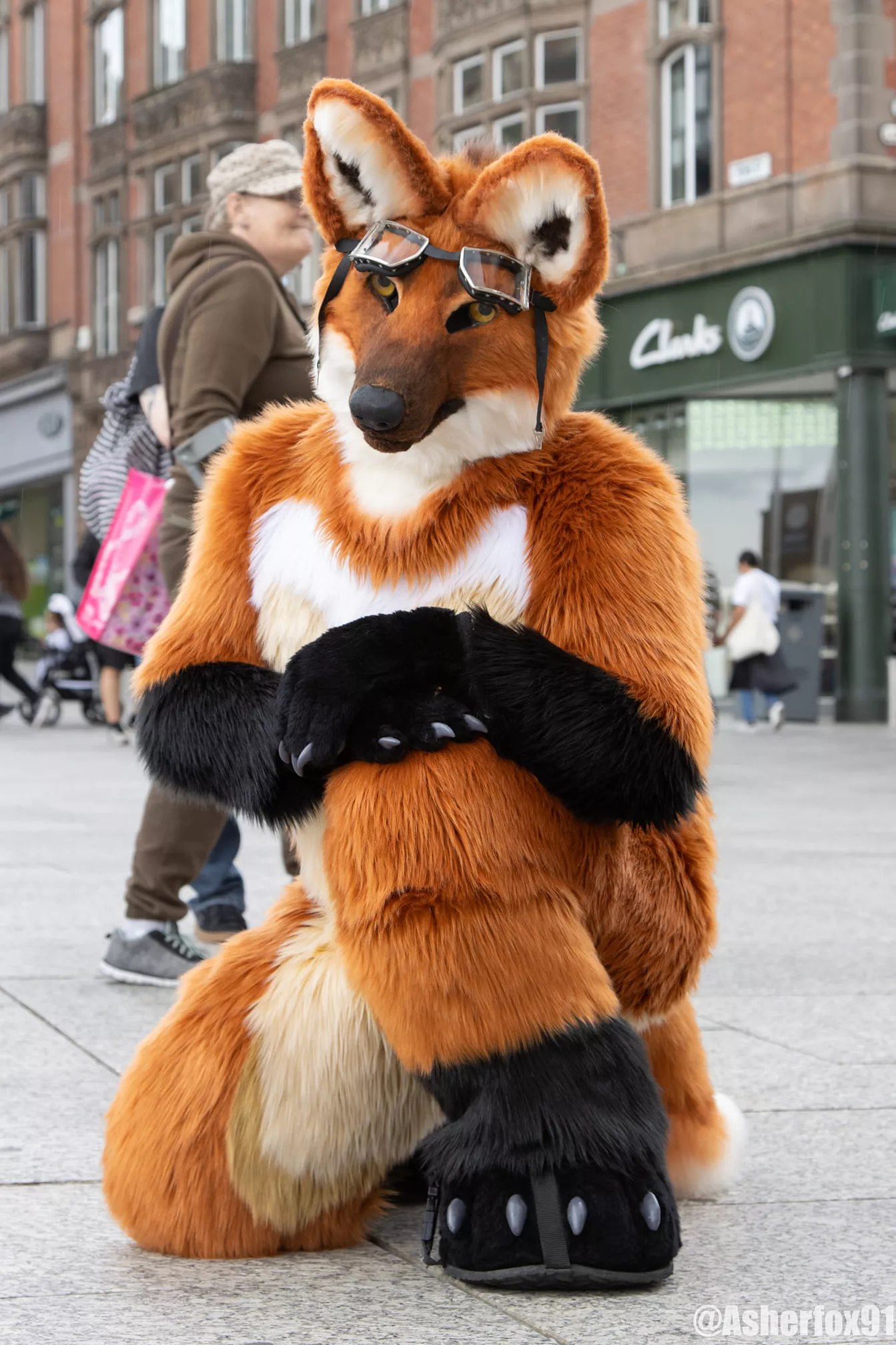 I'm Rufe the Maned Wolf and this is one of my favourite photos so far! Credit to @asherfox91