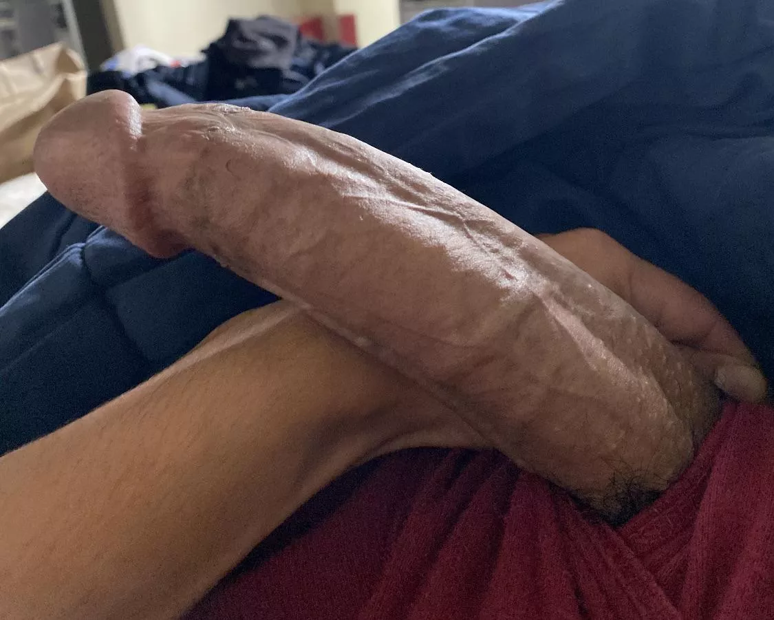 Iâ€™m straight.. but I want to know how many of you would actually suck my cock ?