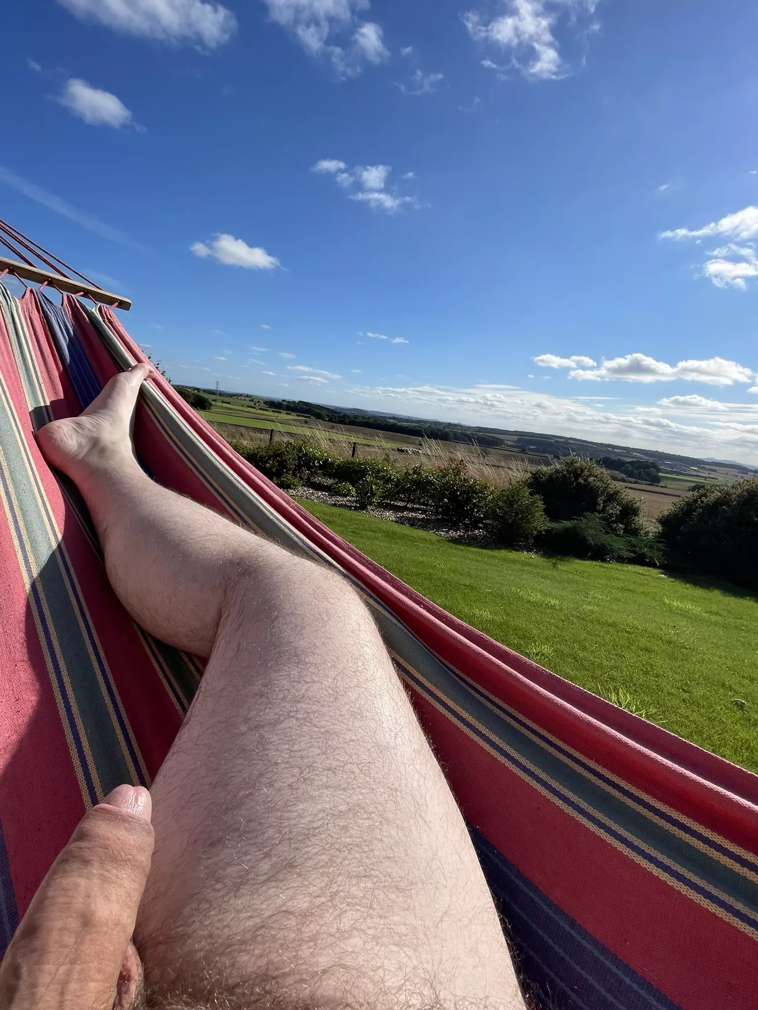 In a hammock in a field