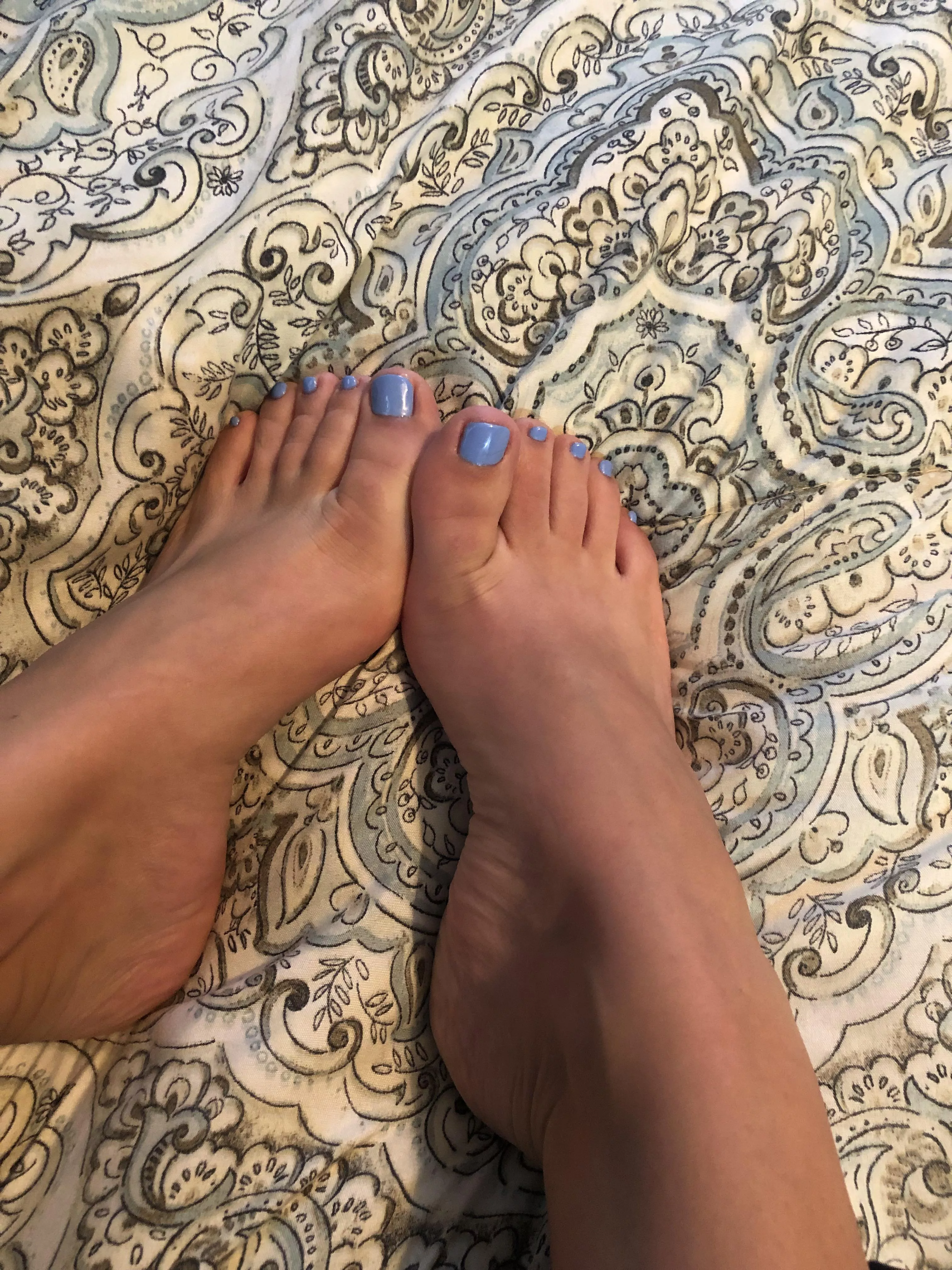 In bed with a new pedicure. What shall I do???