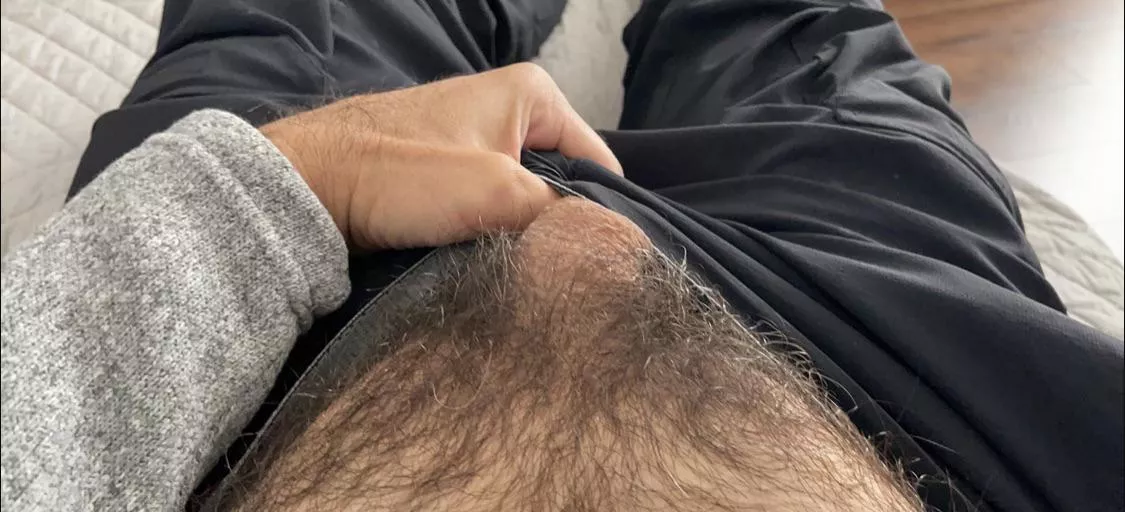 Is it hairy enough?