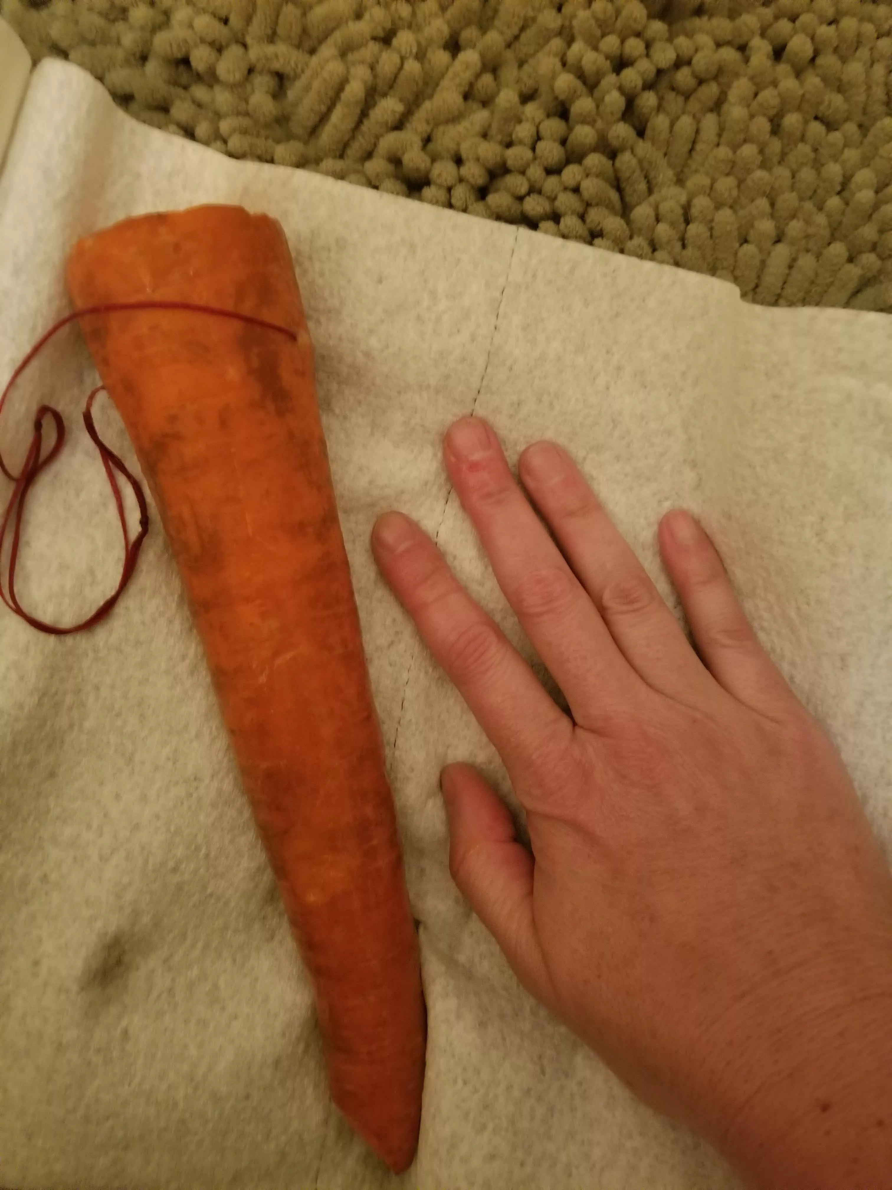 It took a few minutes, but my asshole swallowed this monster carrot