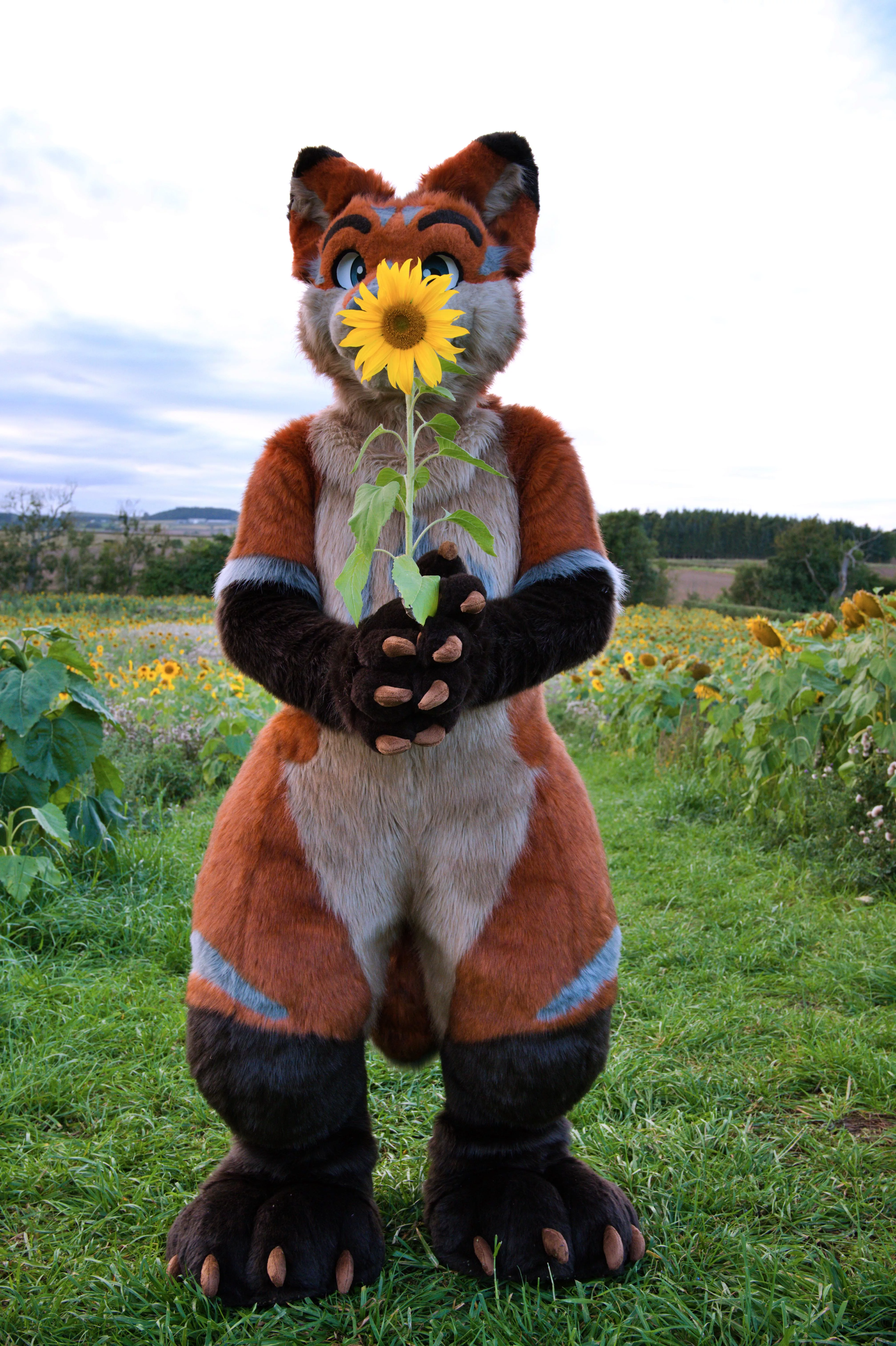 I've got this flower ... For you ☺️ Happy Fursuit Friday!