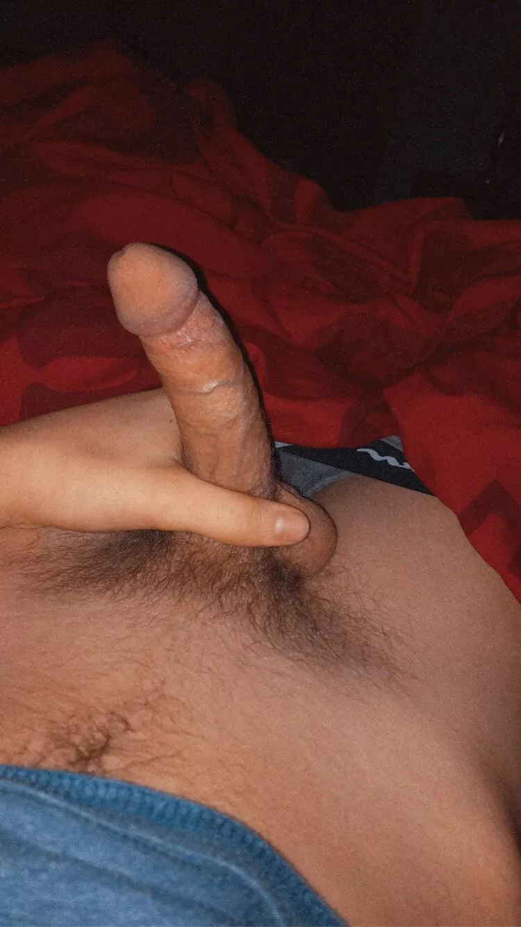 iâ€™ve never been so horny. so hot posting my a picture of my 18yo boy cock. dm me