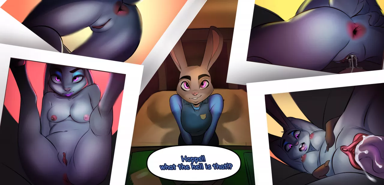 Judy, What Is That? [DidKy]