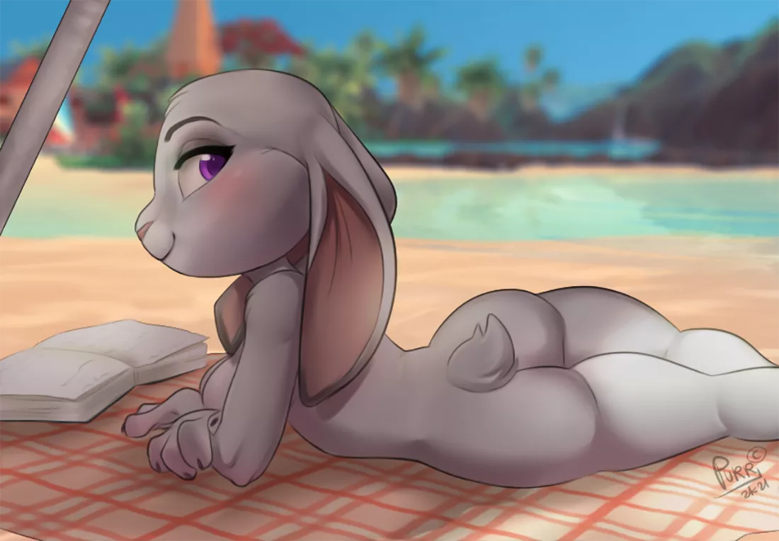 Judy's Got That Look [F] (Purrchinyan)