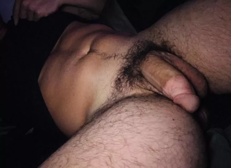 Just a big softie. Think you could get it hard?