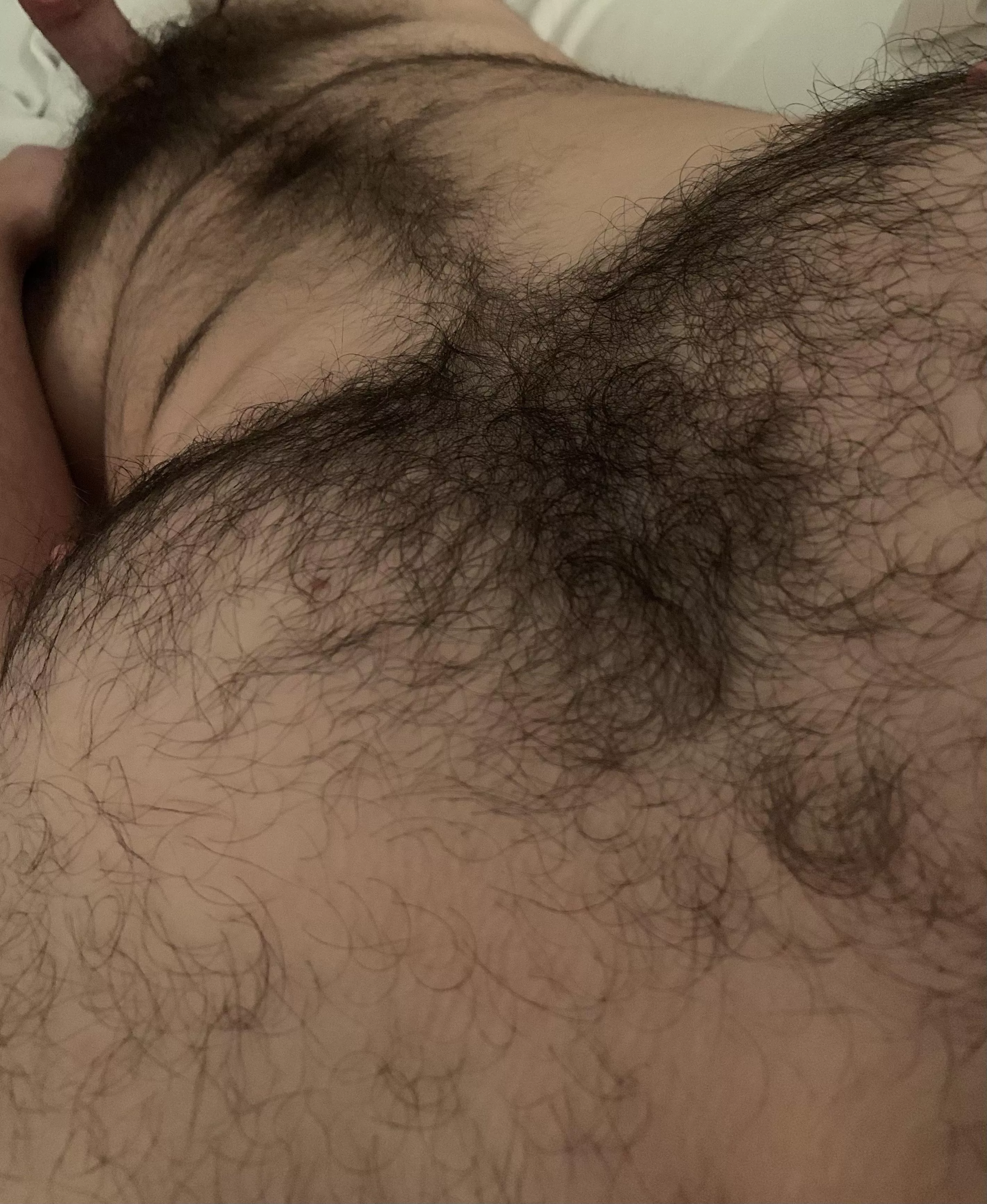 Just a hairy dude seeking a cuddle bud