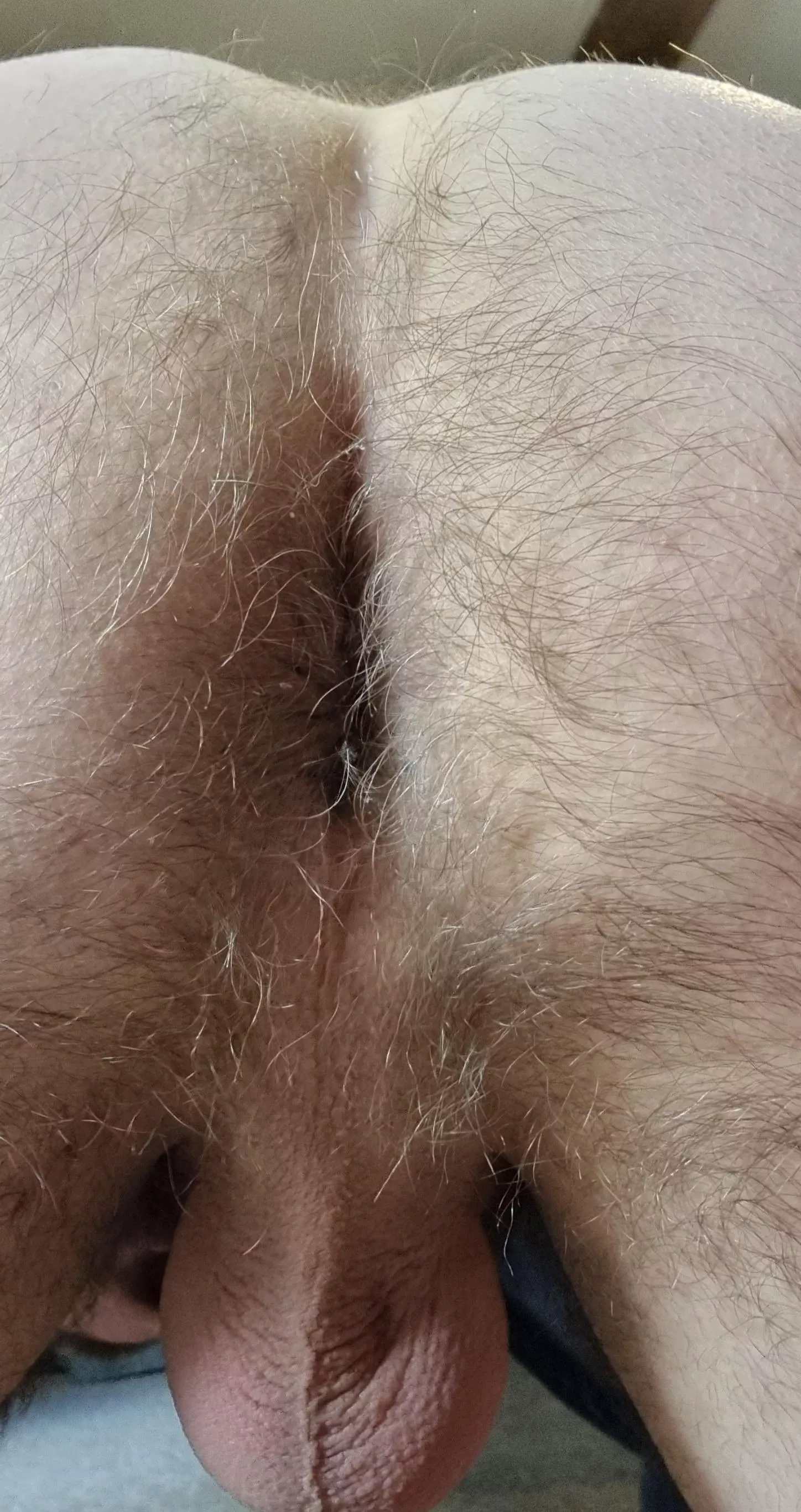 Just another hairy ass 🙈