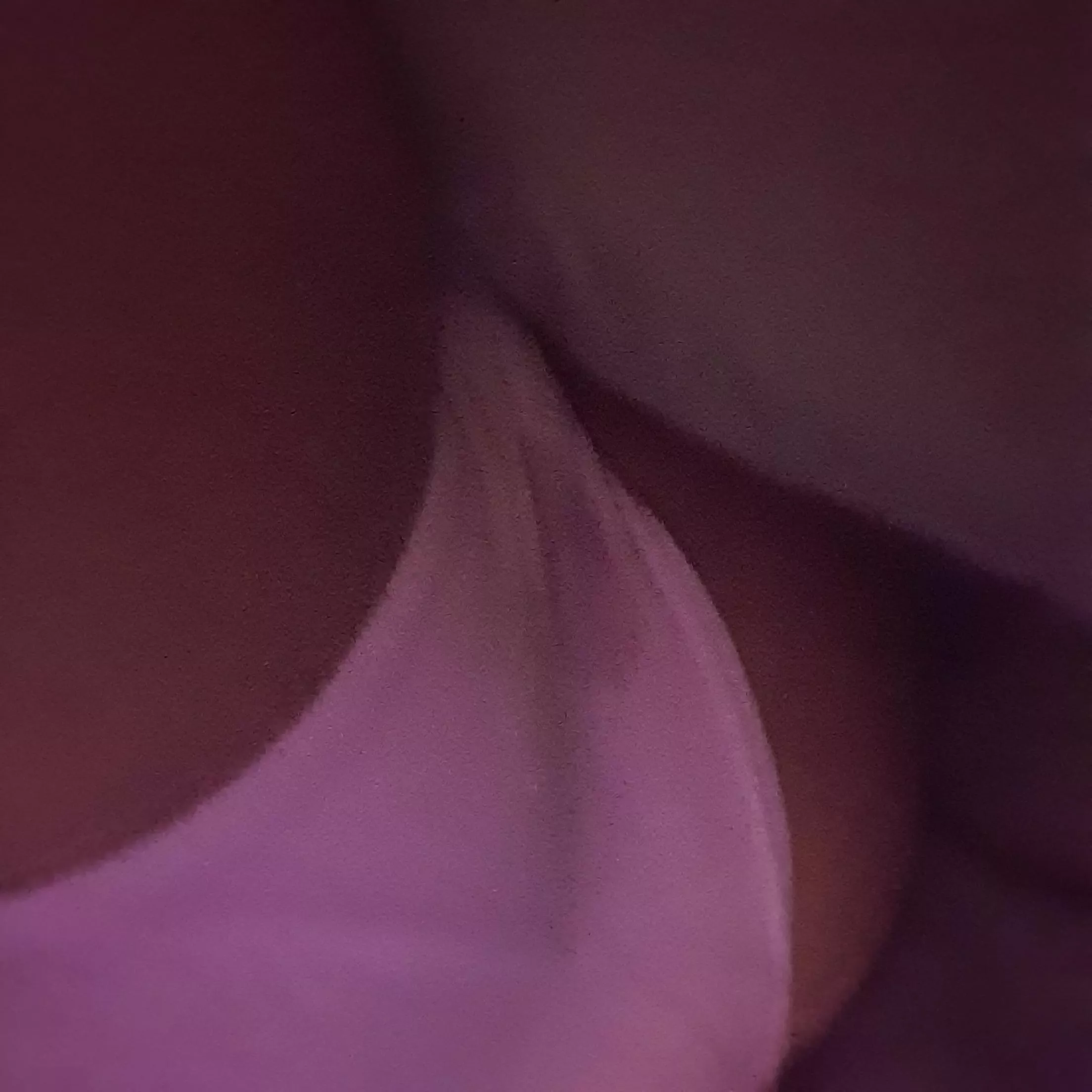 Just (f)inished humping my pillow