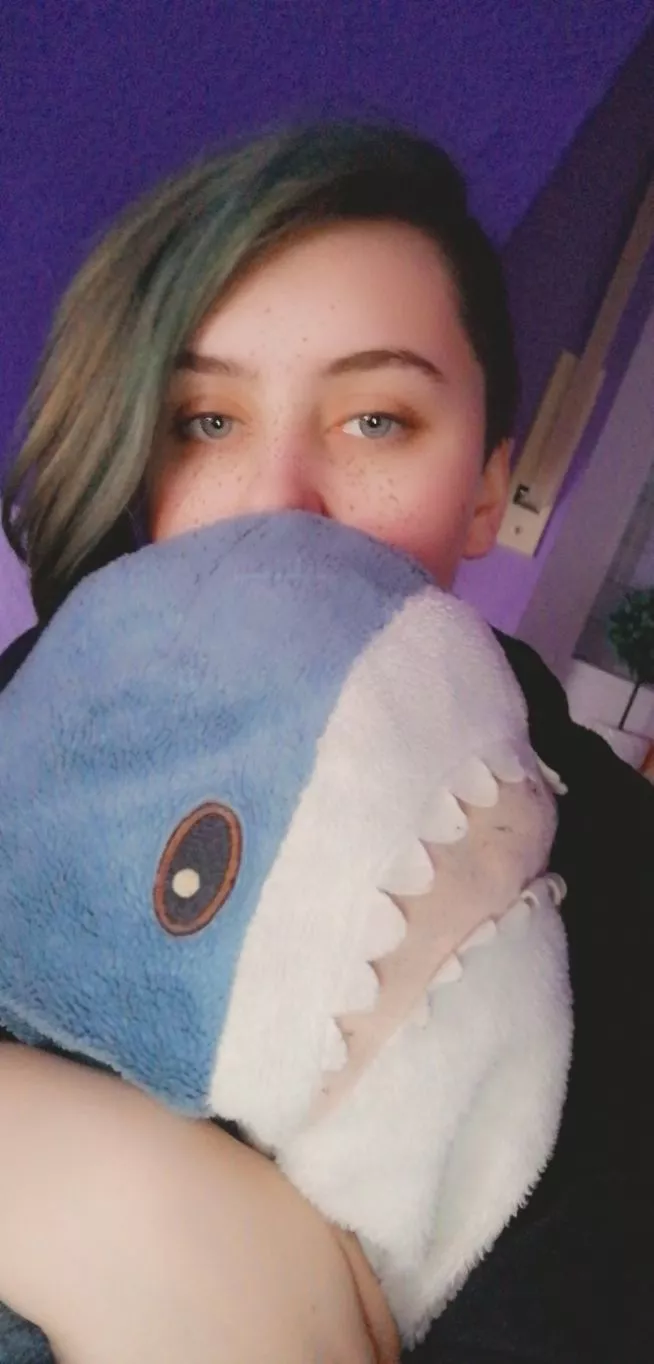 Just woke up :> Someone asked me to show my shark, Hugo, so here he is :D