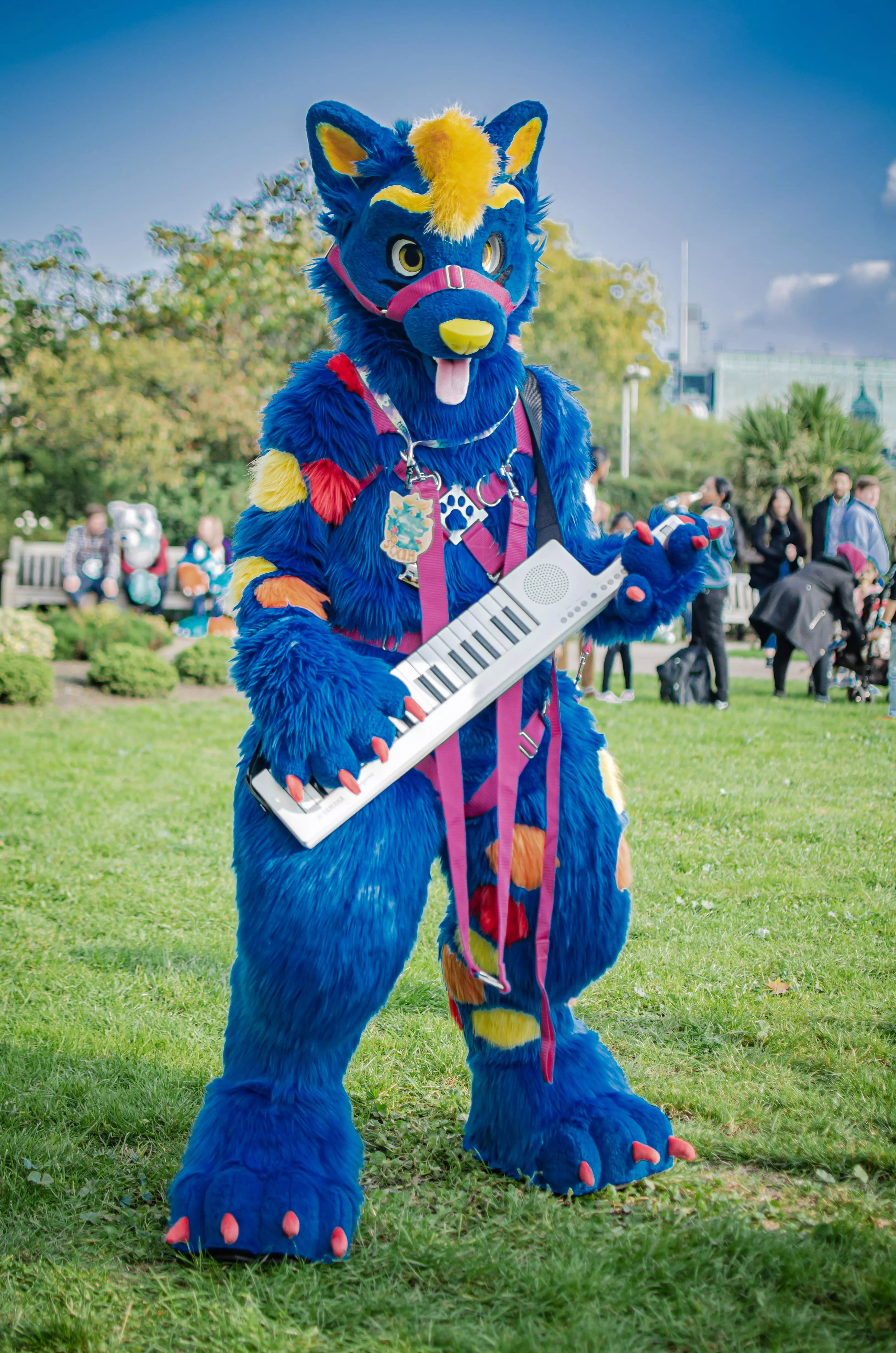 Keyboard Warrior - Photo by KafesCoffeeCat