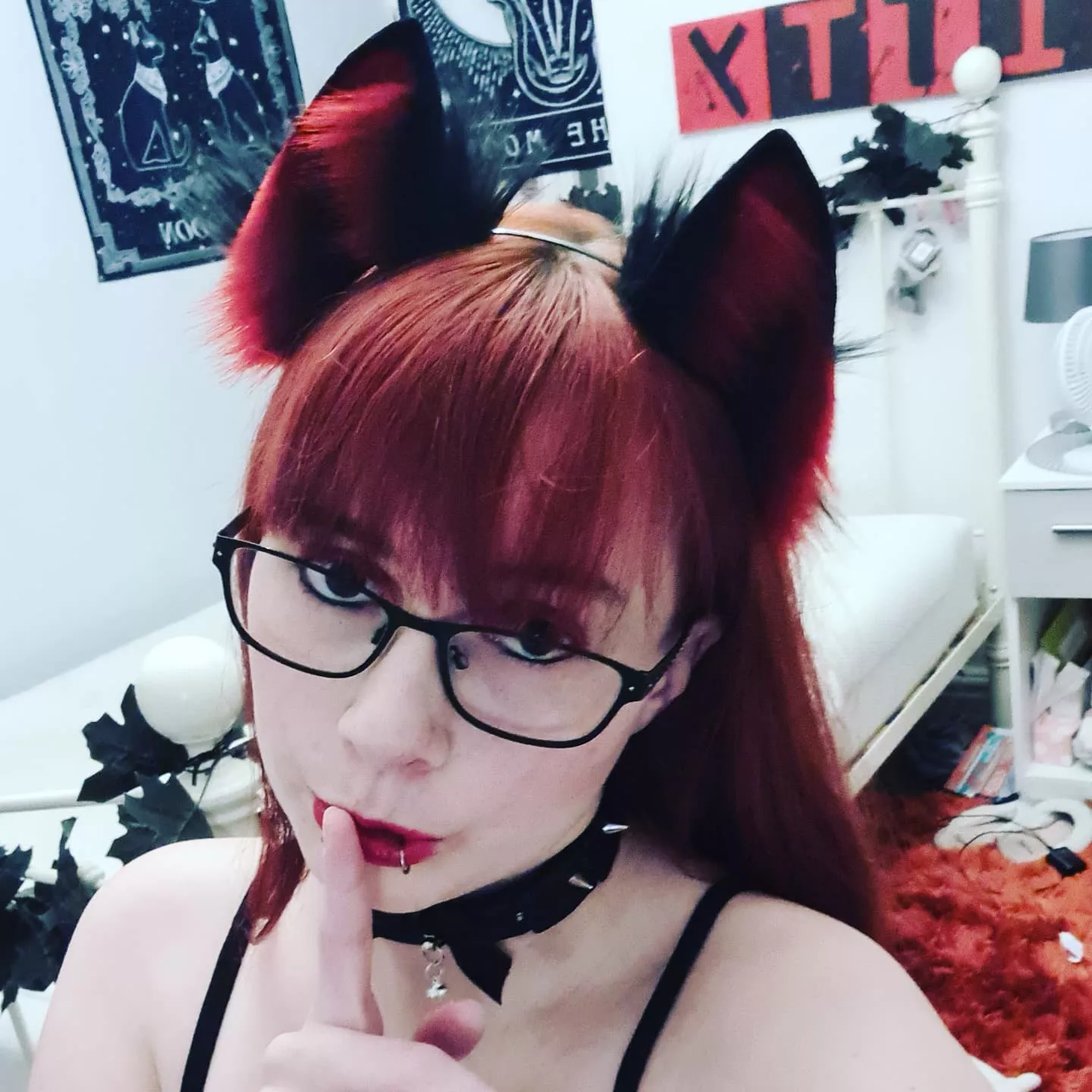 Kitty loves her new ears...do you agree? 😏