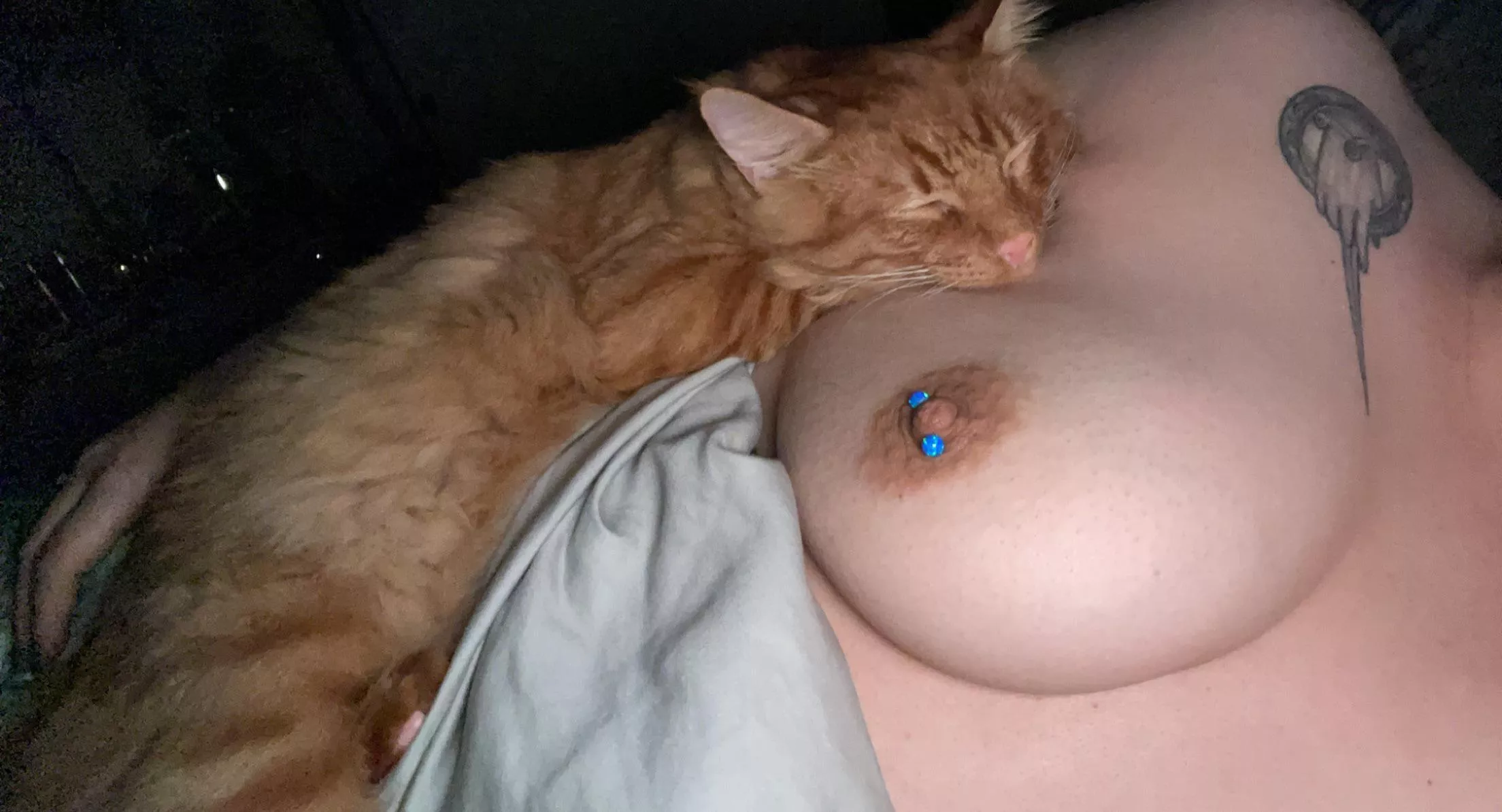 kitty & titty