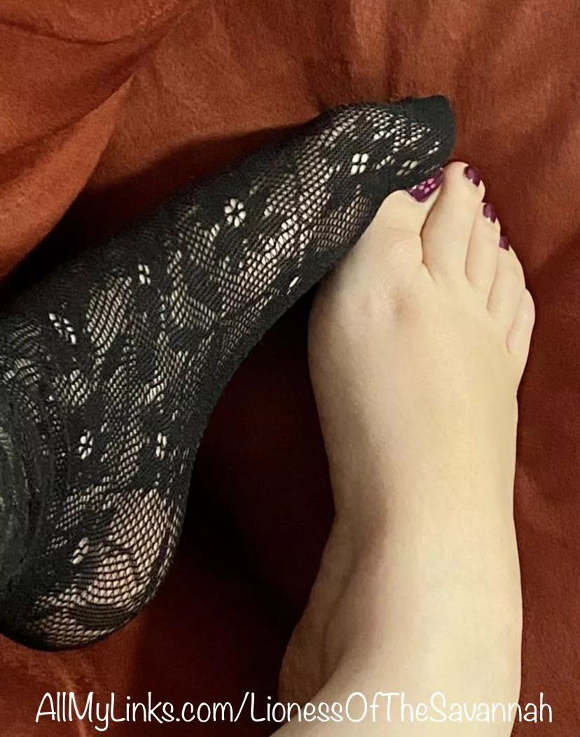 Lacy Fishnet Socks or barefoot?! ðŸ˜‹ Maybe both? ðŸ˜œ