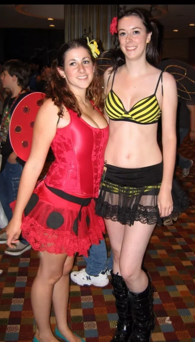 Lady bug and bee