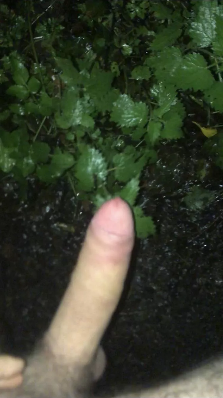 Last night I walked home naked and decided to play with nettles