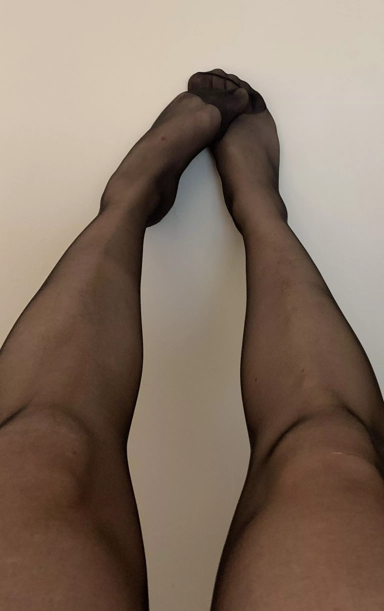 Legs 11