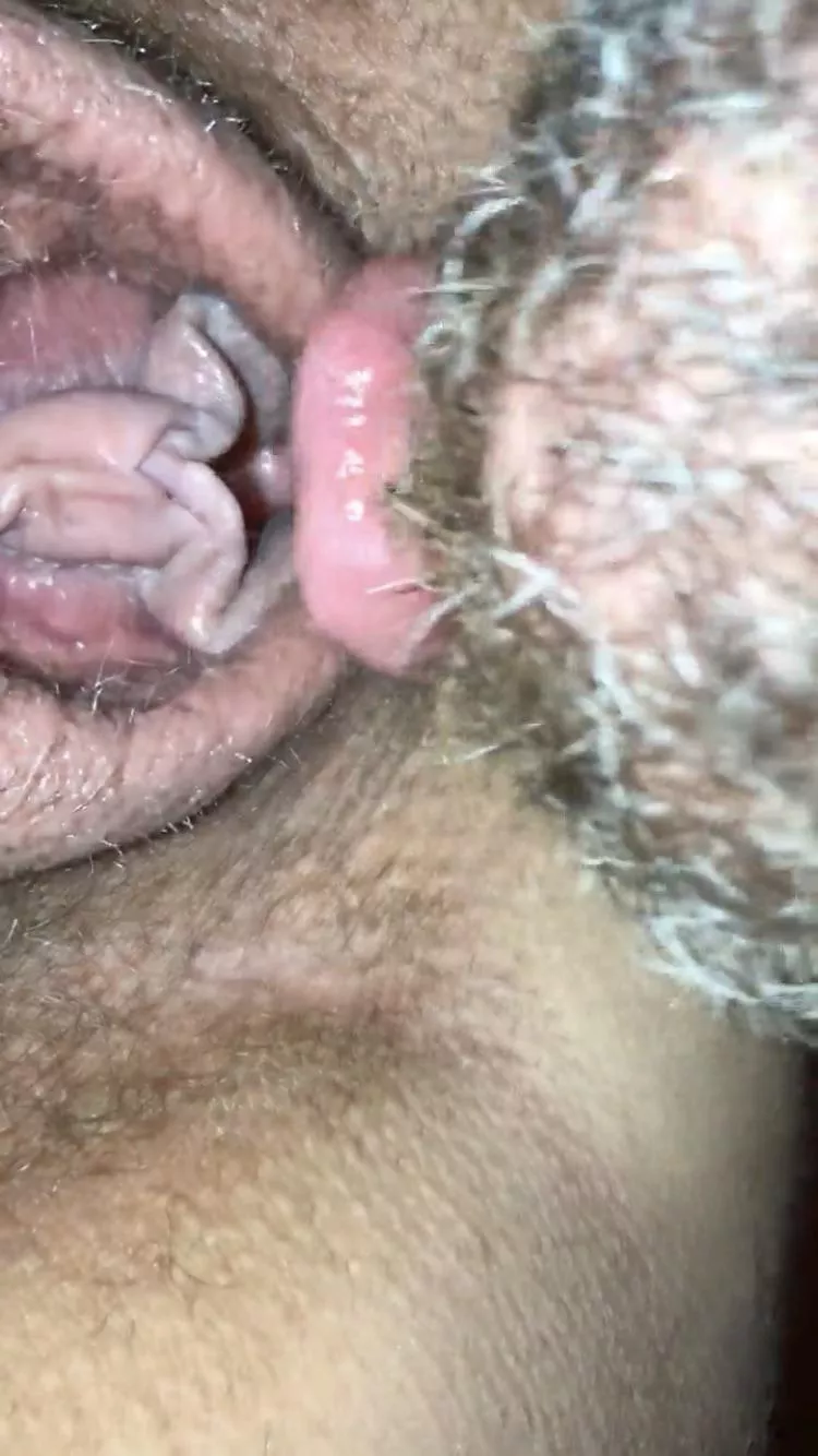 Licking her creamy cunt.