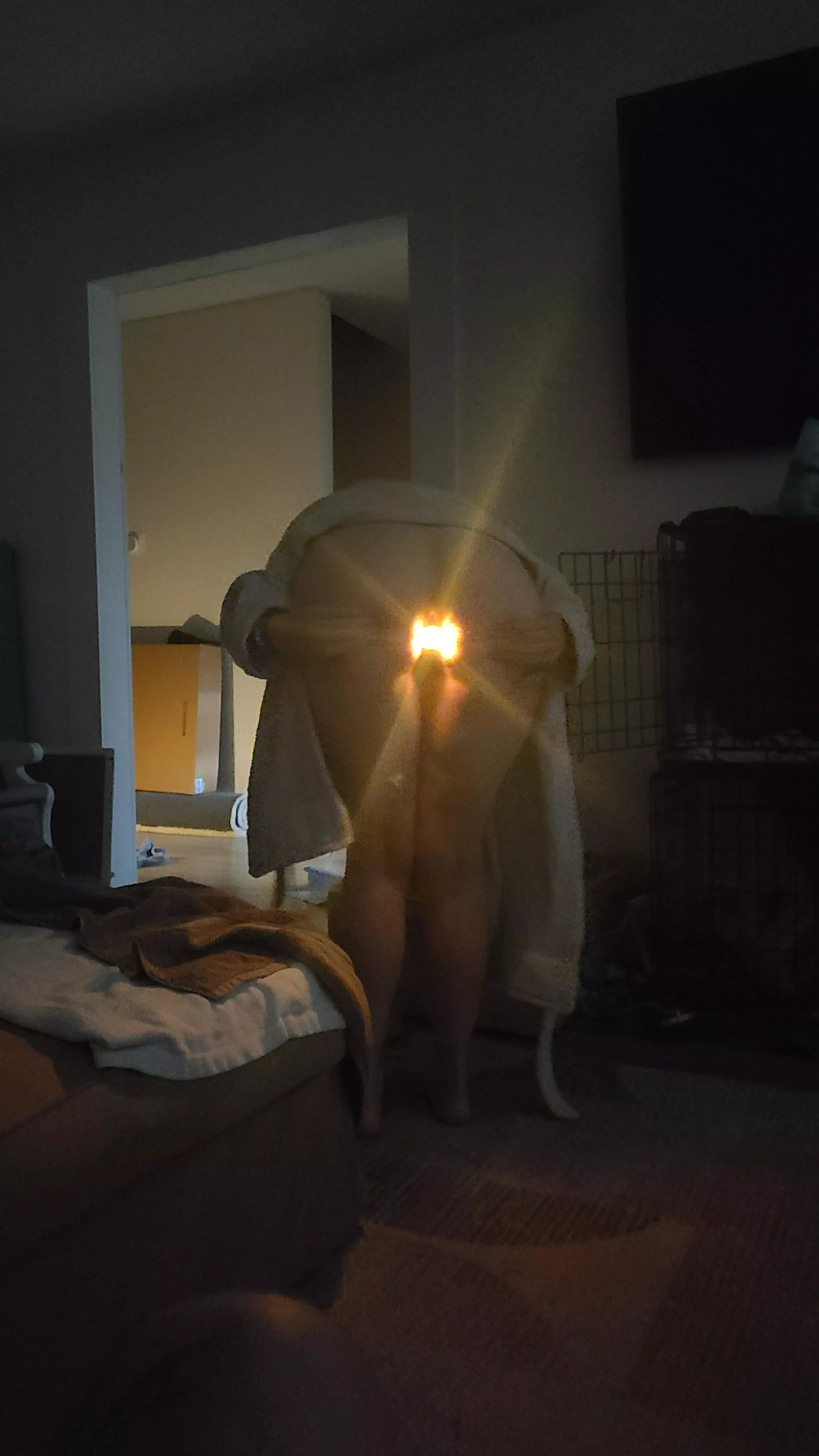 Light plug is like a guiding light for my pussy