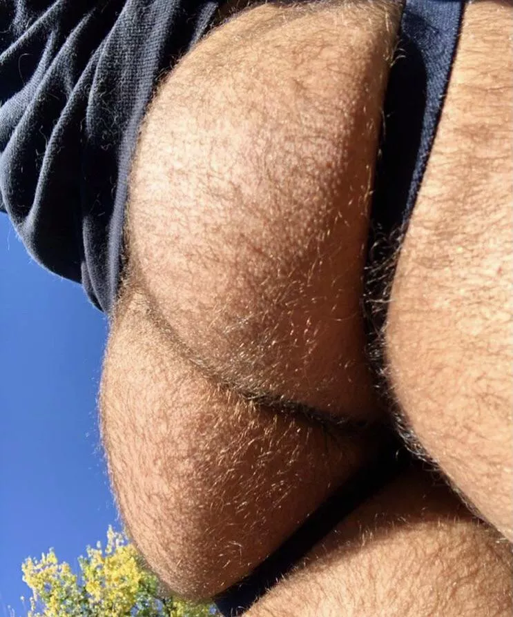 Like my fuzzy ass? ðŸ»