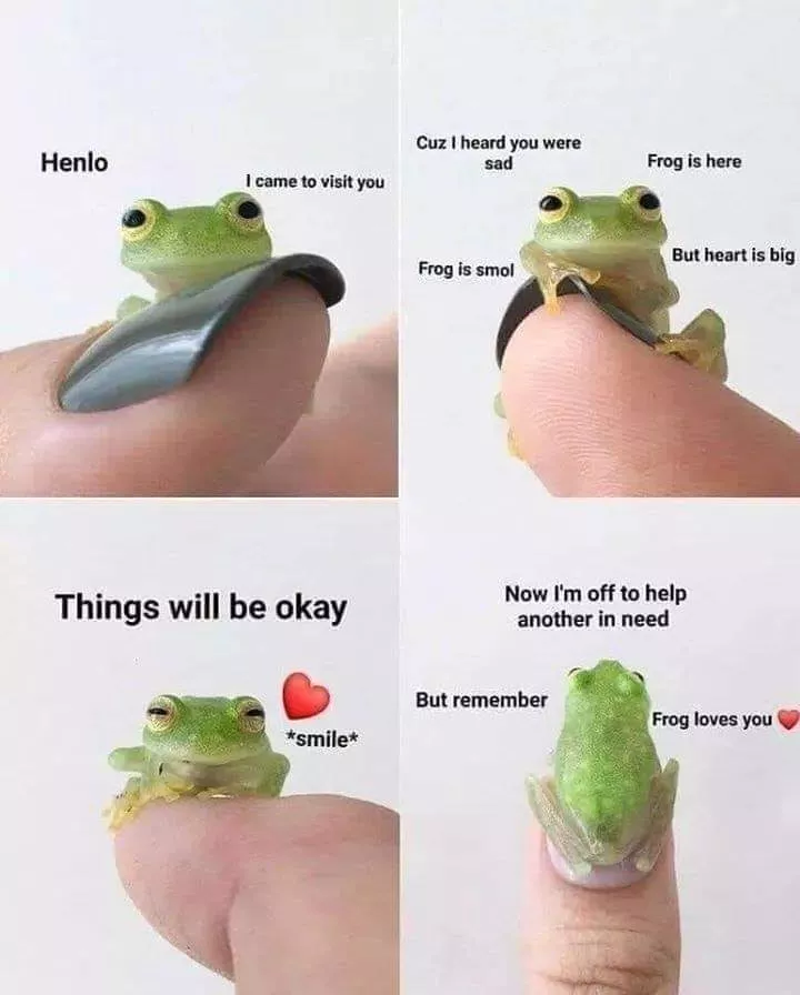 Listen to frog, he knows â¤ï¸