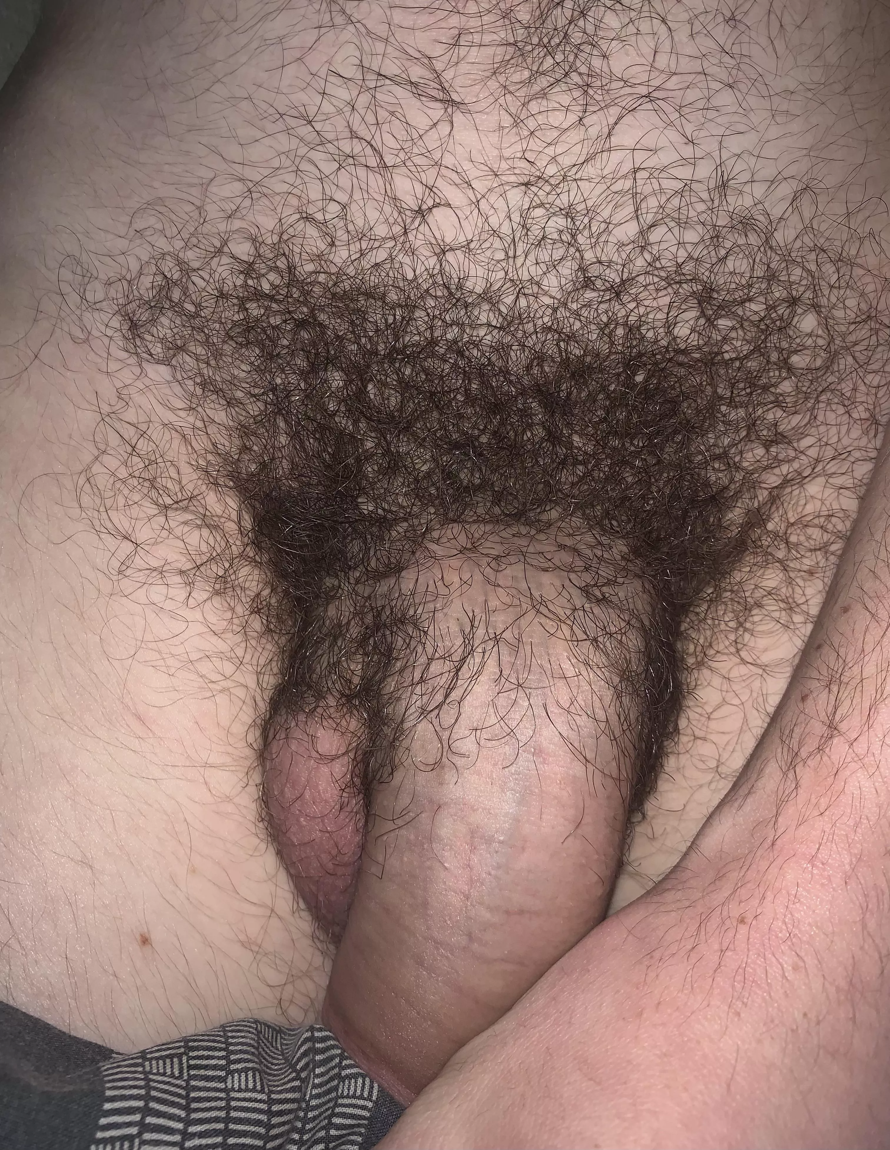 Look at my hairy cock