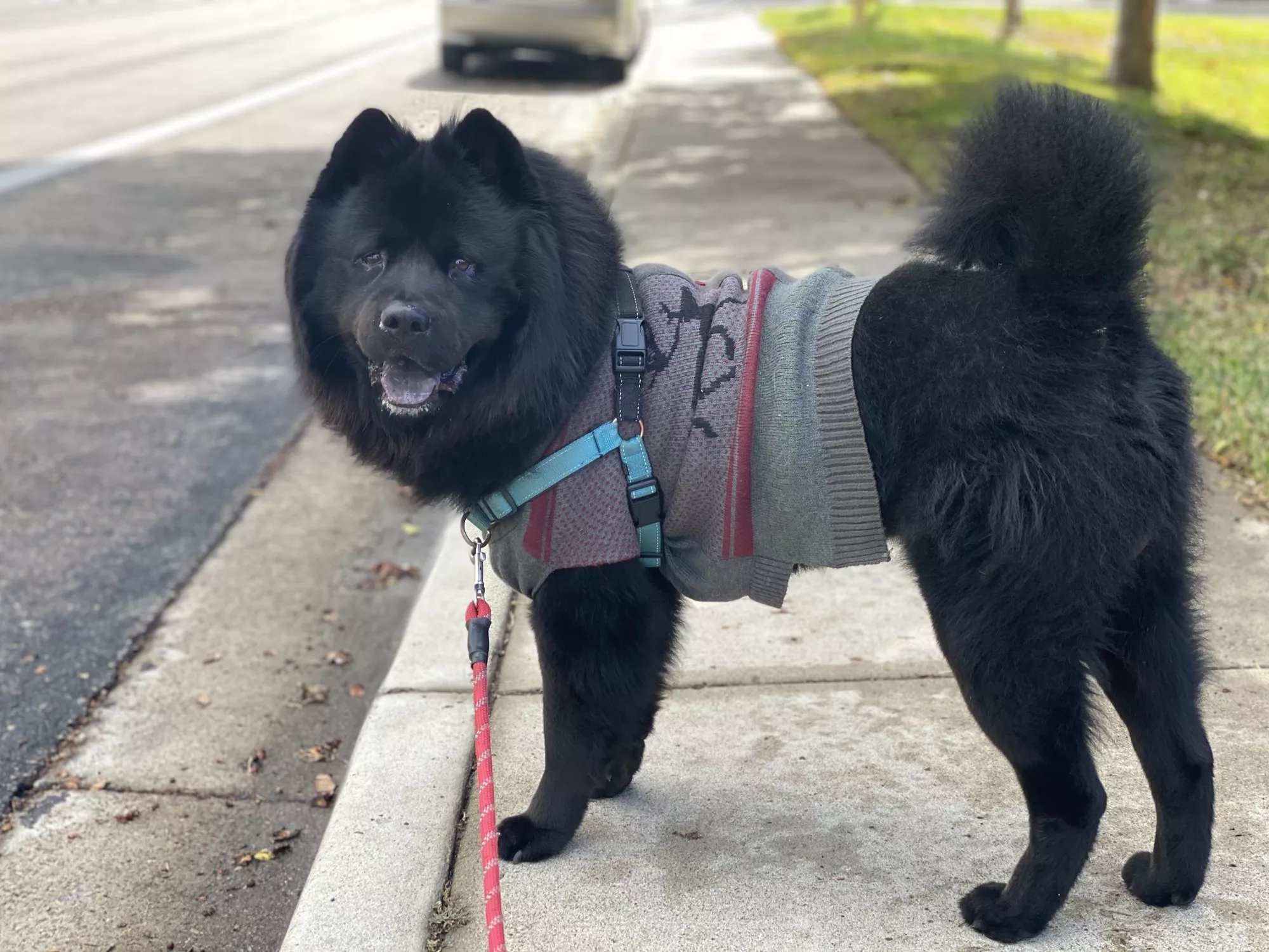 Look at this dapper fella 🥸