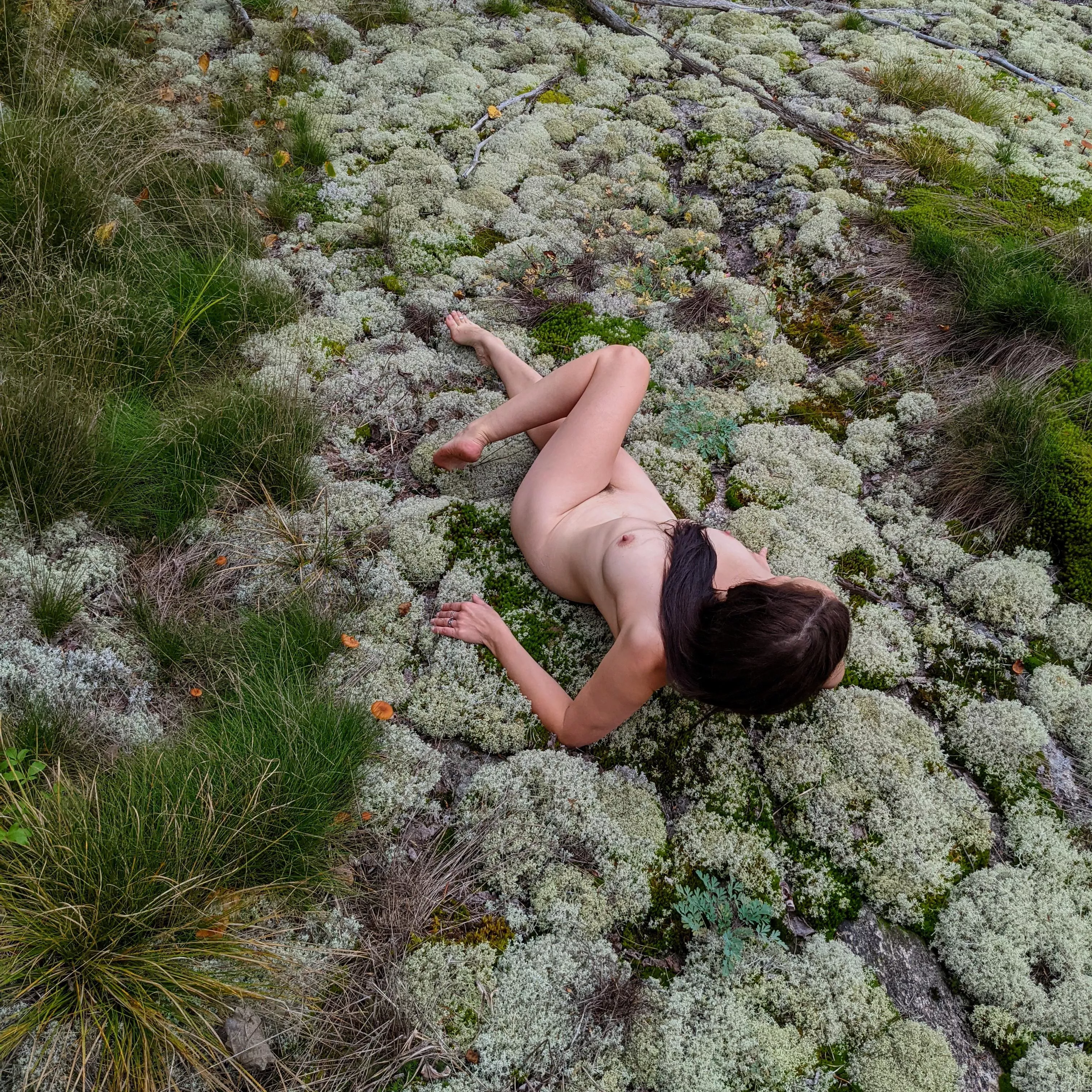 Looks lichen I've fallen, could you help me up