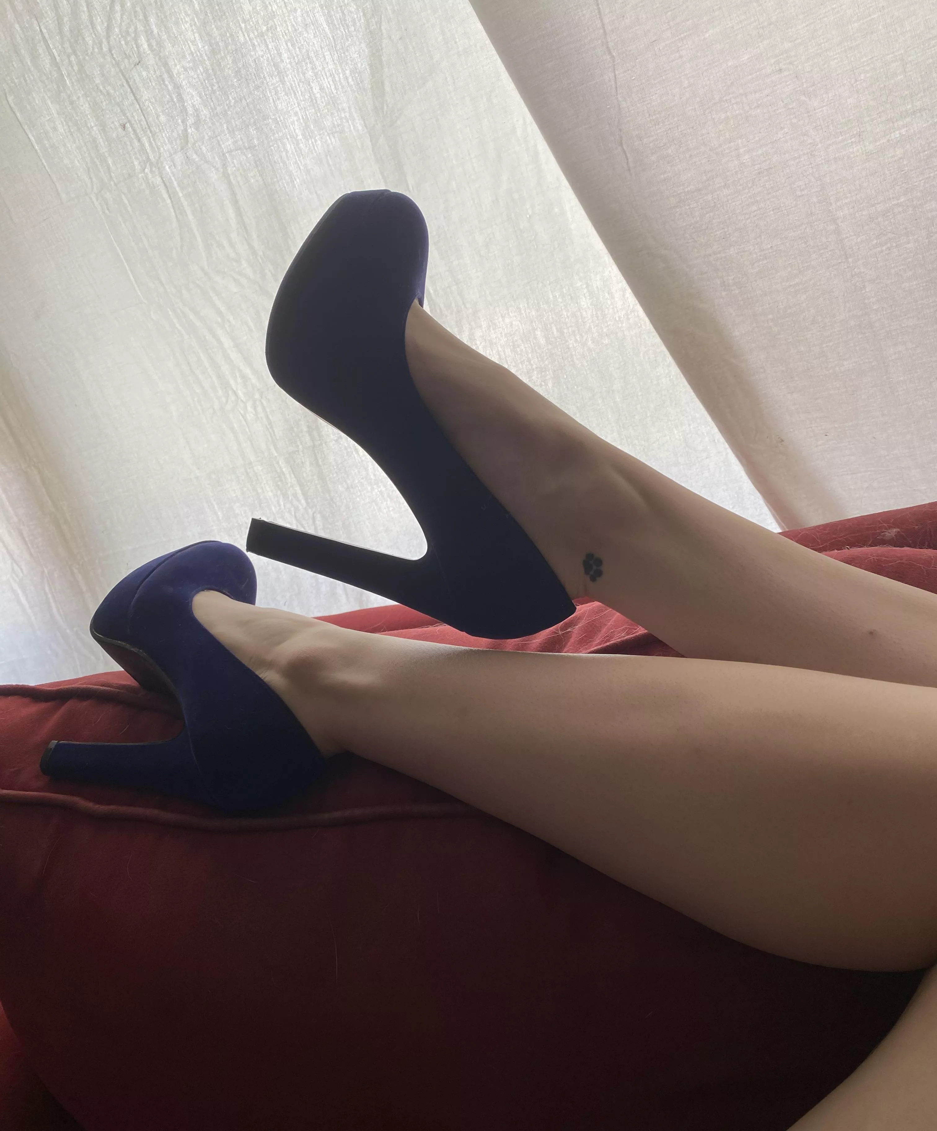 Lounging in my blue suede heelsðŸ’™