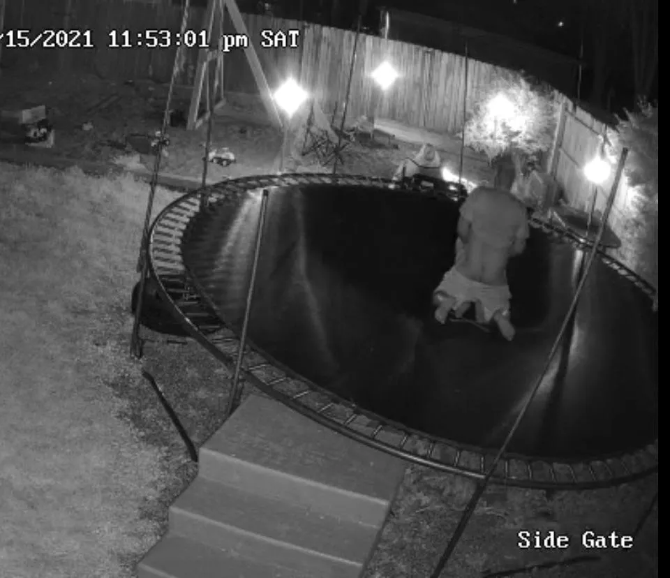 Love checking the security cameras and finding my wife fucking our friend while our other friends watch.