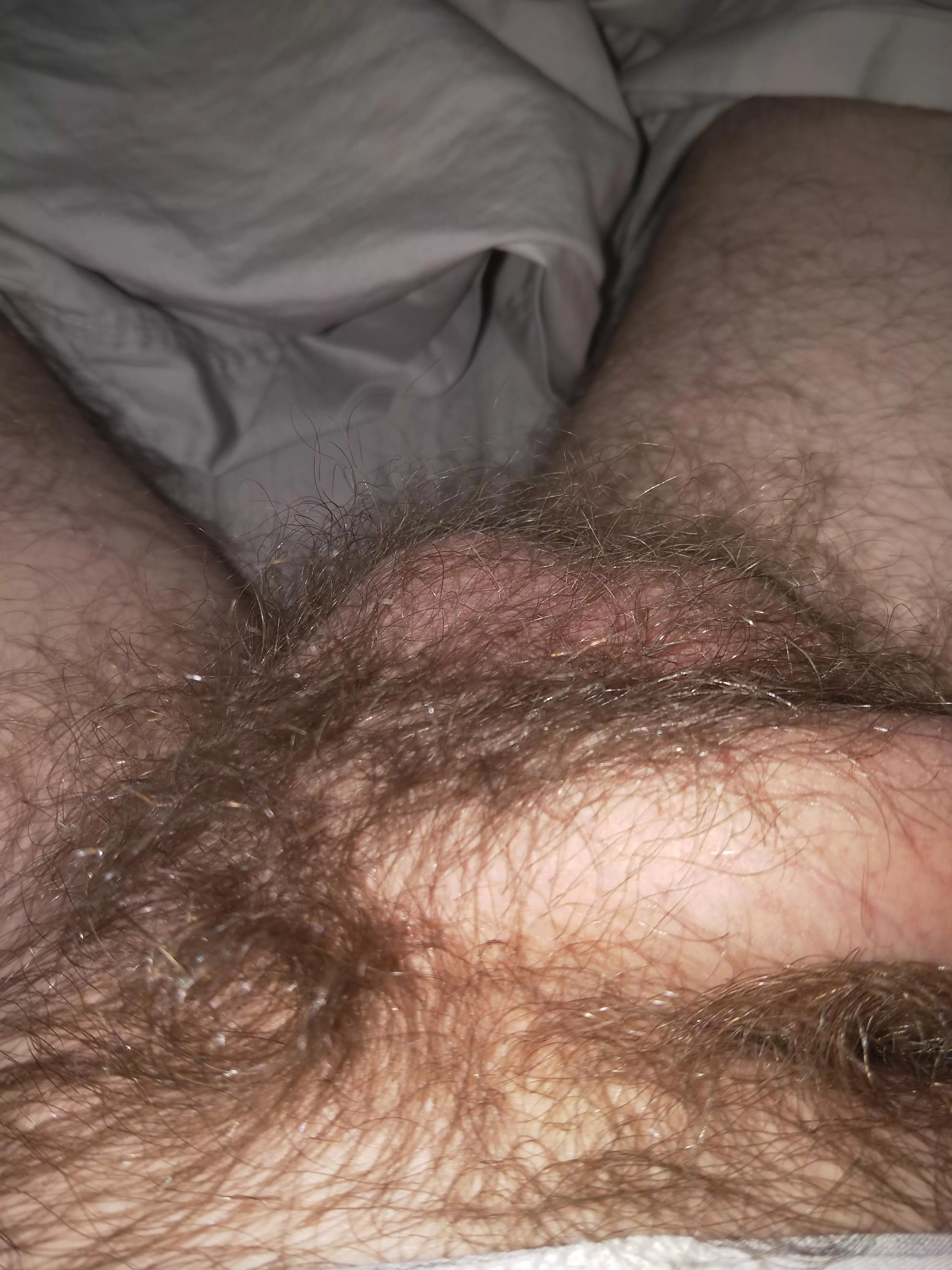 Love having a hairy crotch,, feels good playing with my bush while I jerk