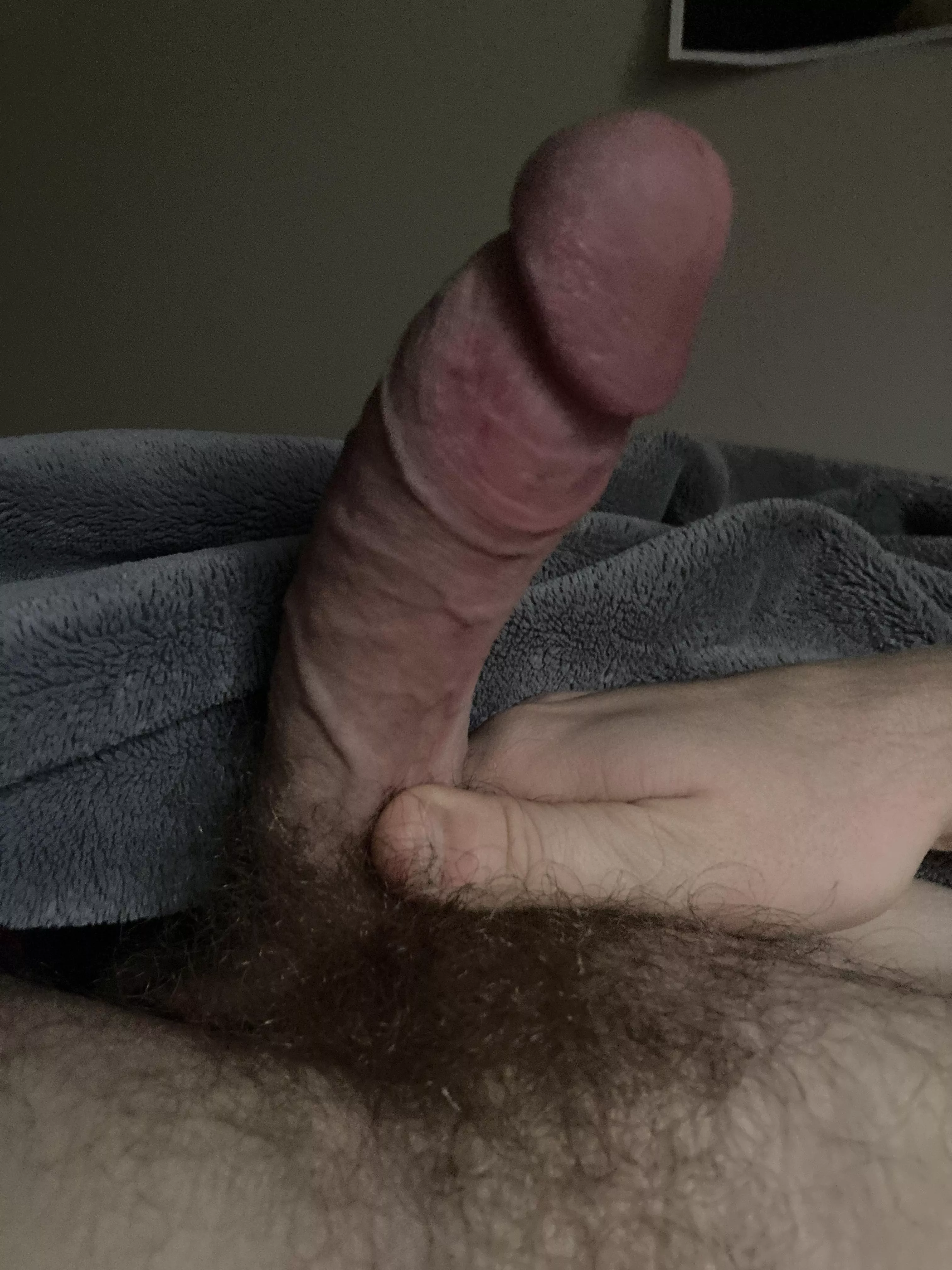 M19