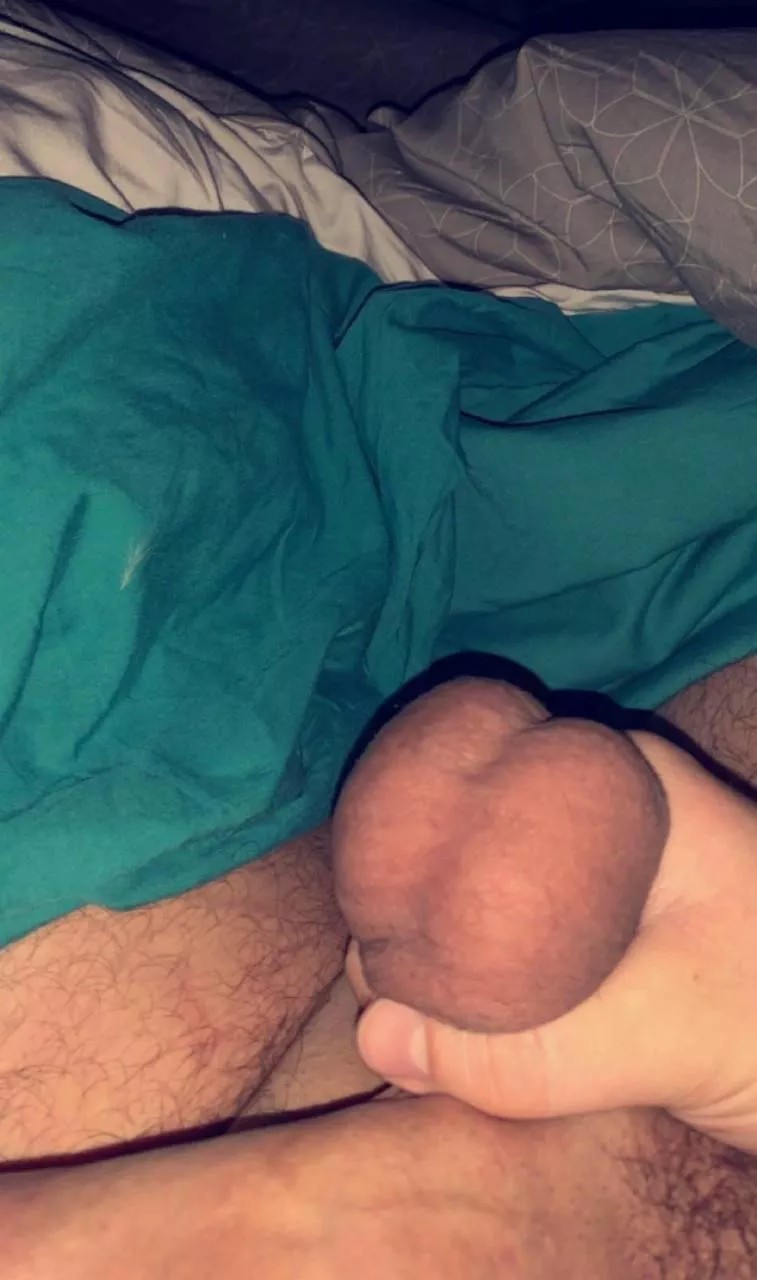 (M35) Lick my balls?