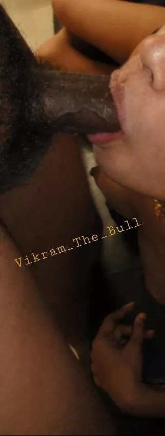 Mandarory blow jobs during encounters. Bull session for a matured South Indian cuck's wife.