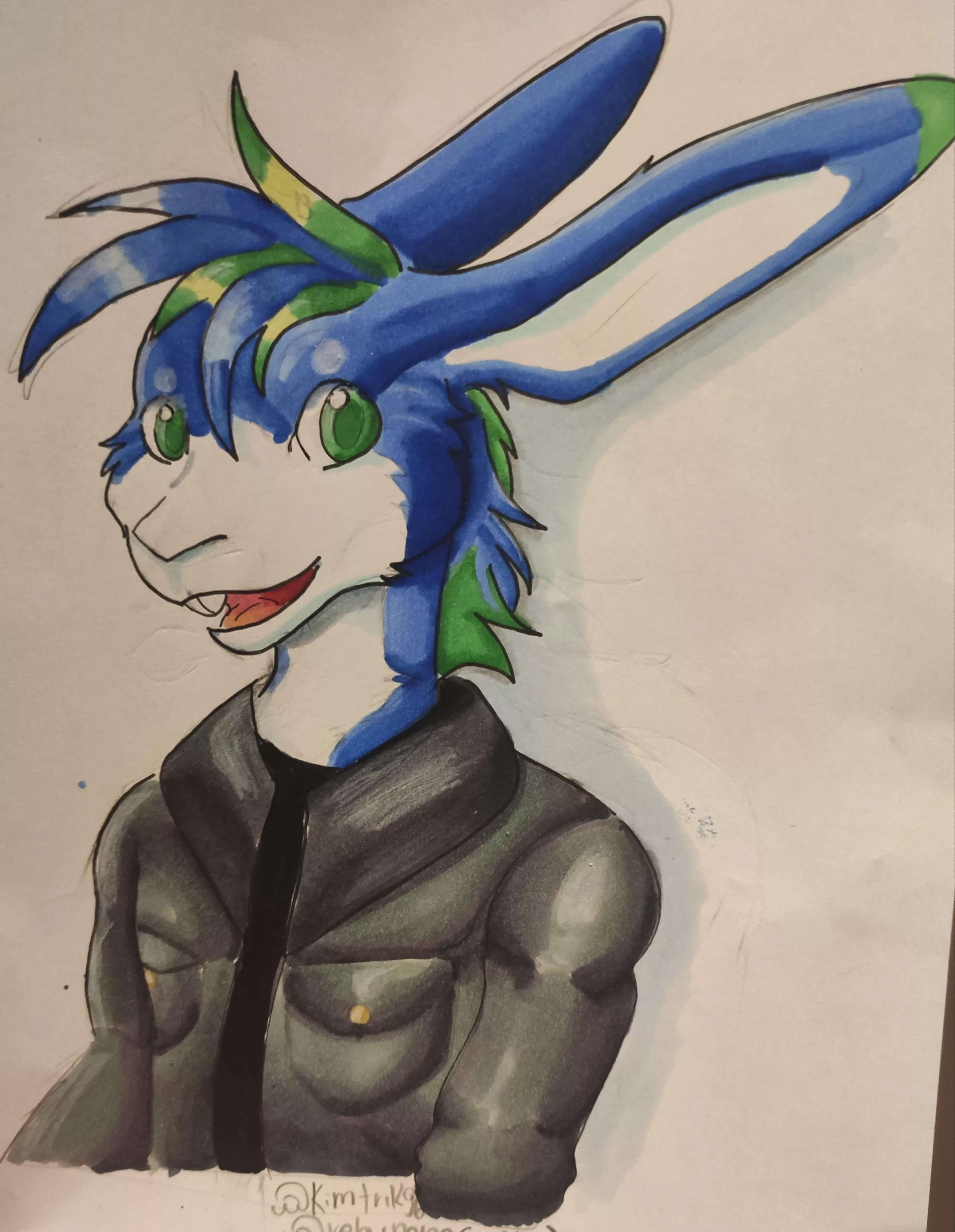 Markers painting i did of my fursona