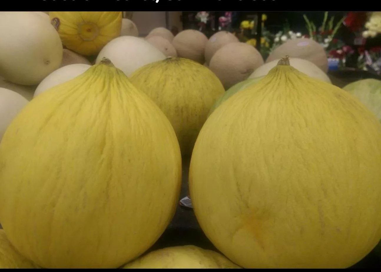 Melons, anyone?