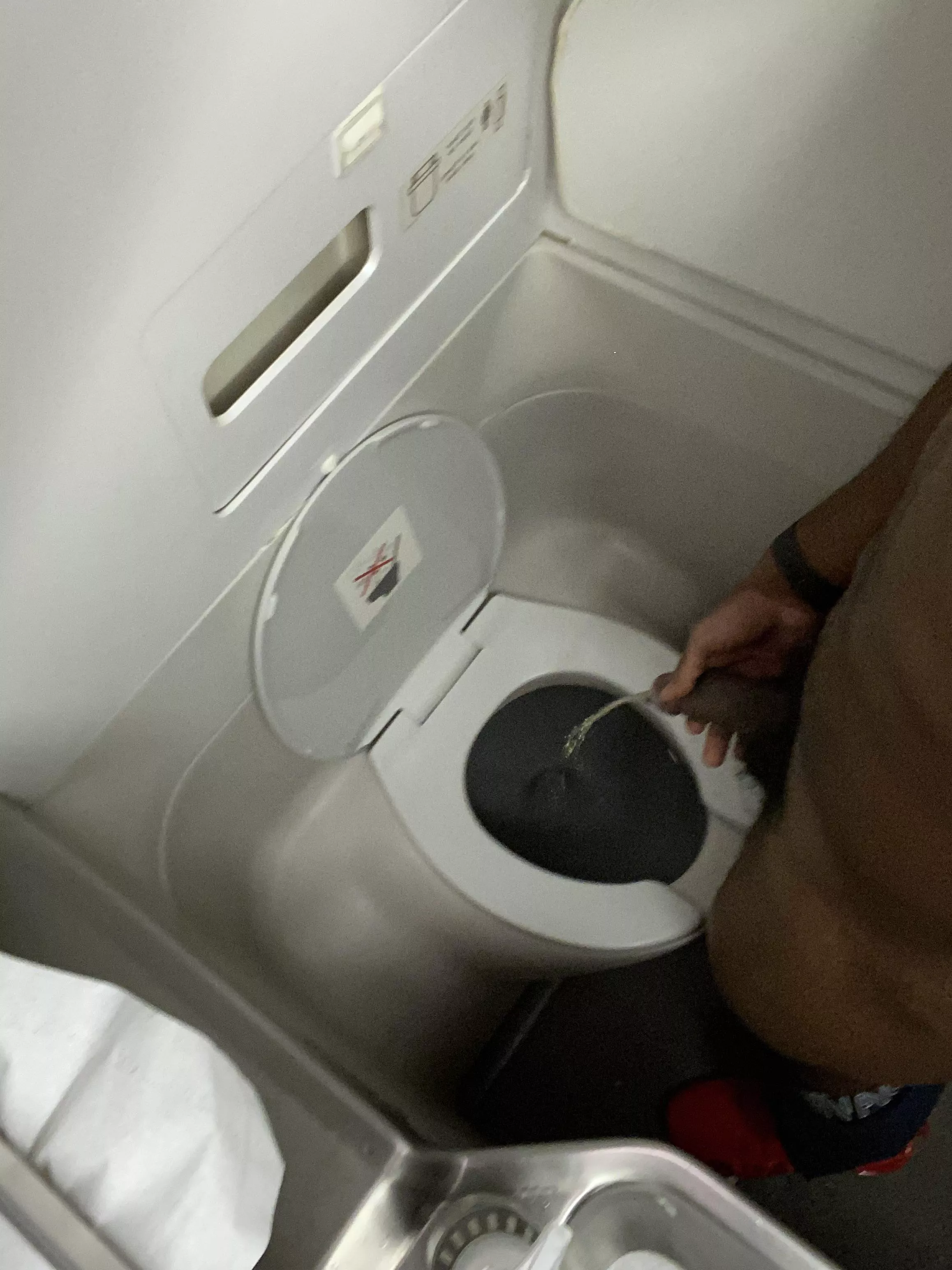 mid-flight bathroom break