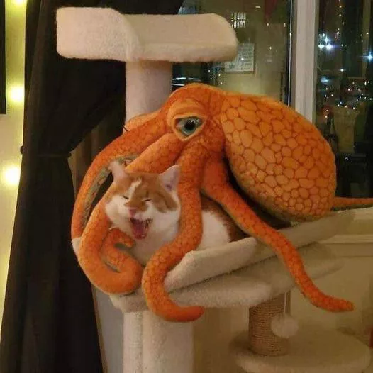 Mods are asleep! Post pussies wrapped in tentacles! (other)