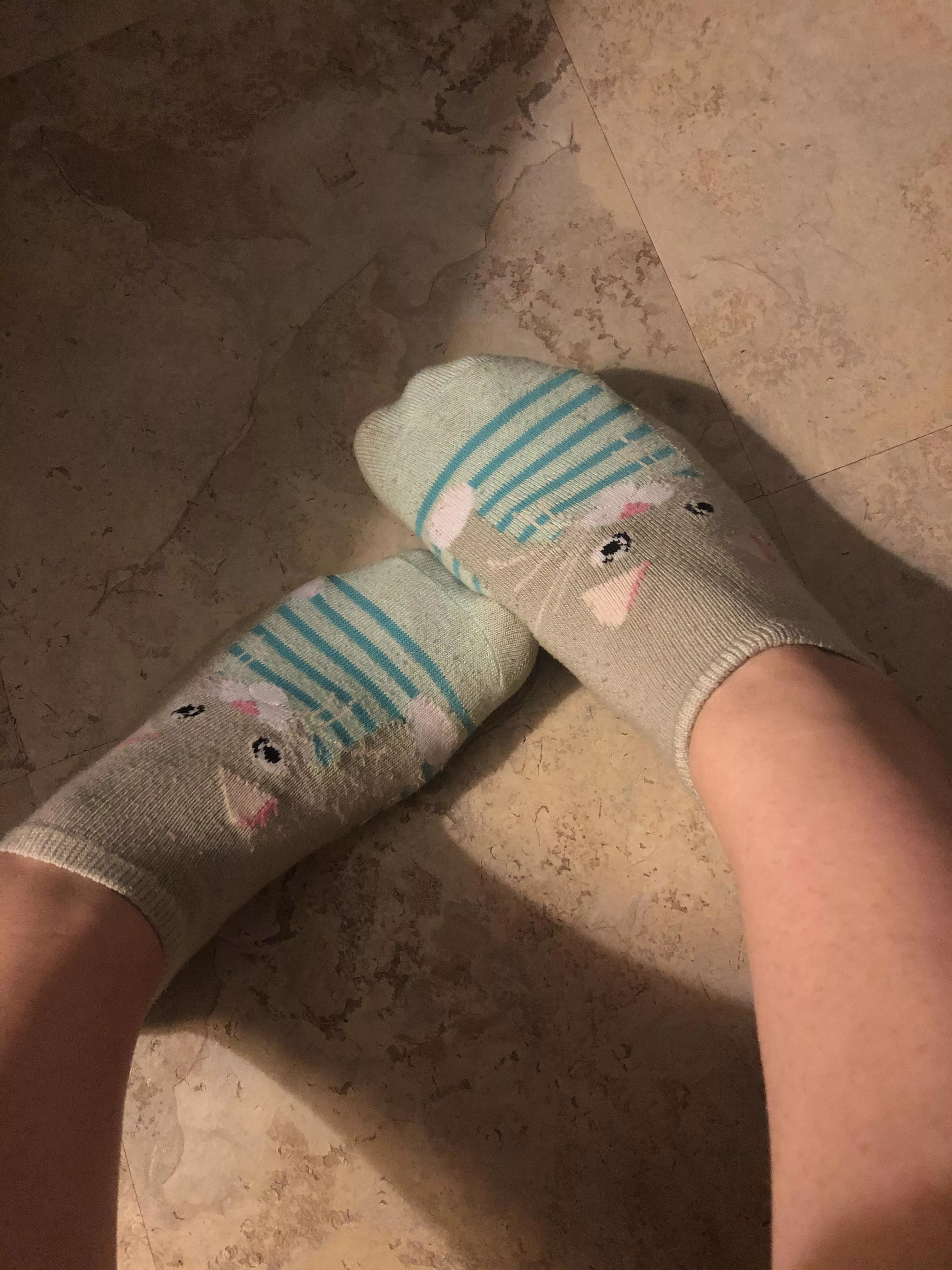 More kitty socks😋