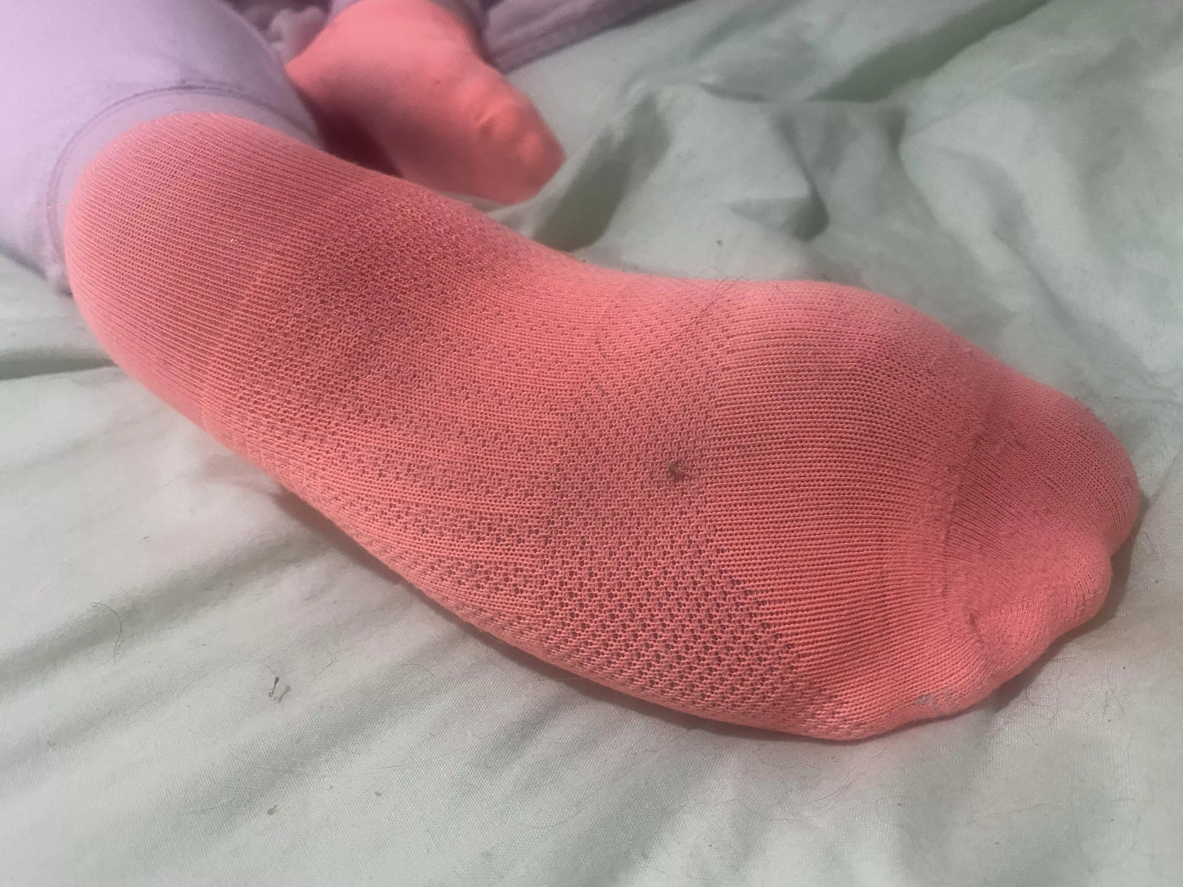 More of my wife socks