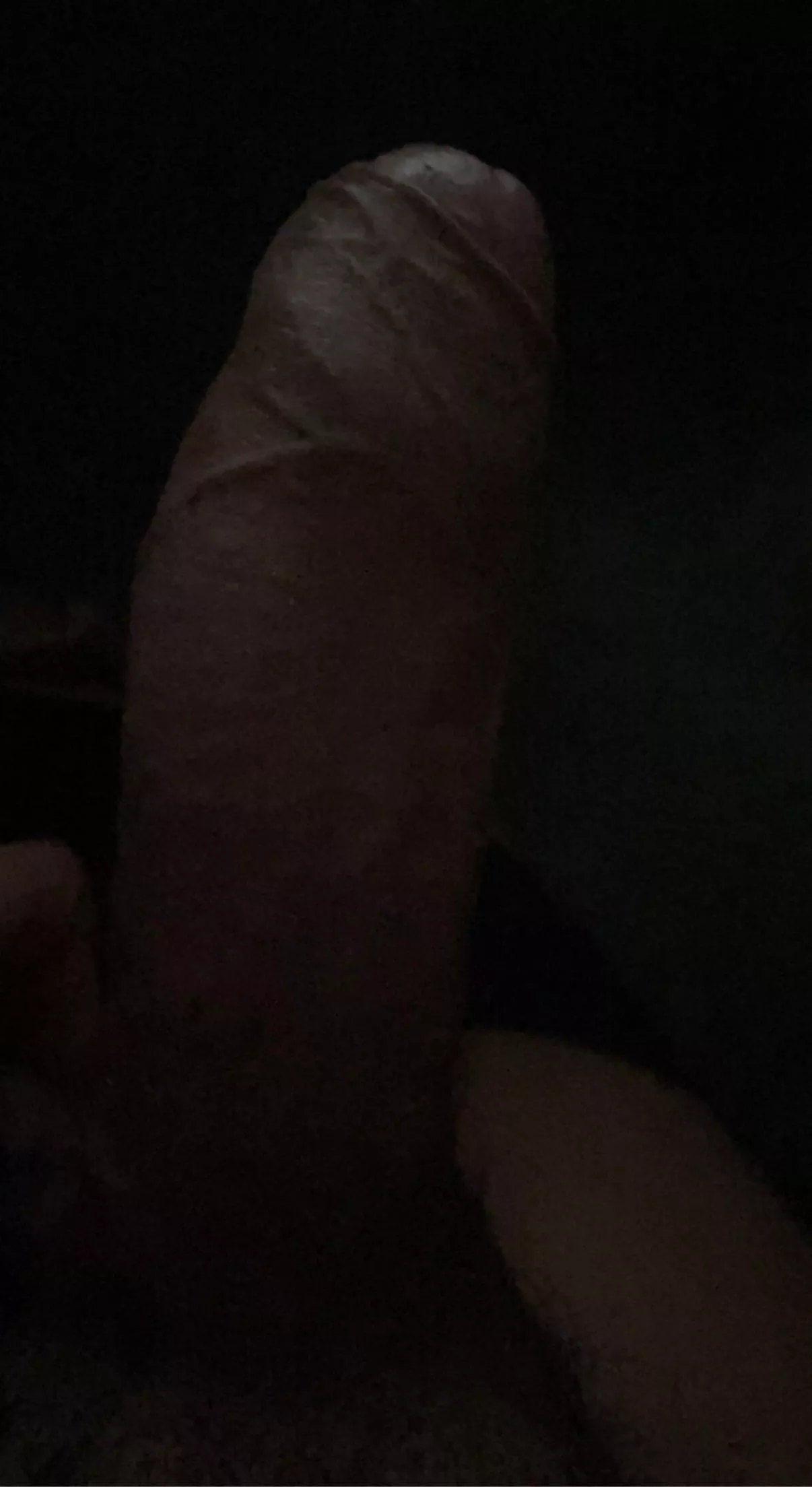 Morning wood