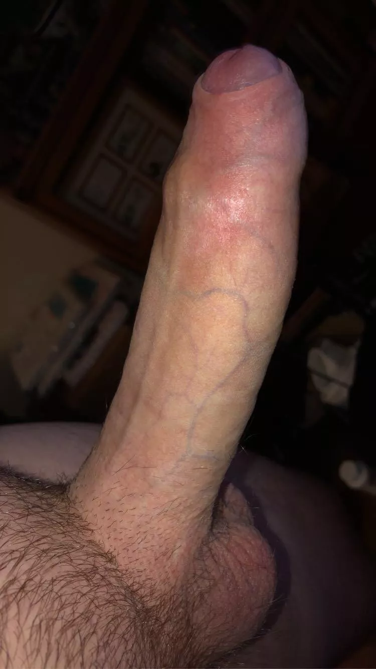 Morning Wood [M]