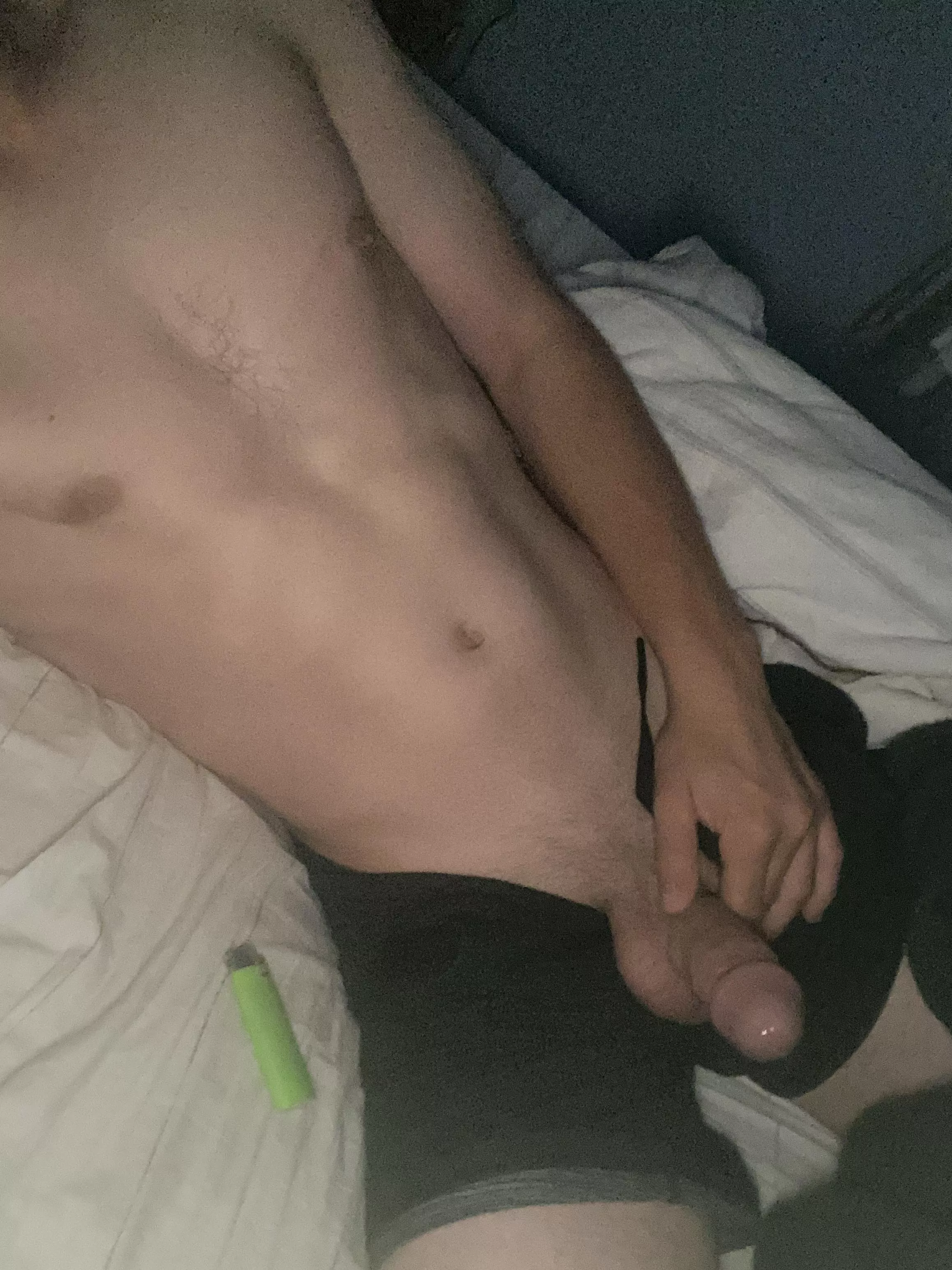 Morning wood(M)