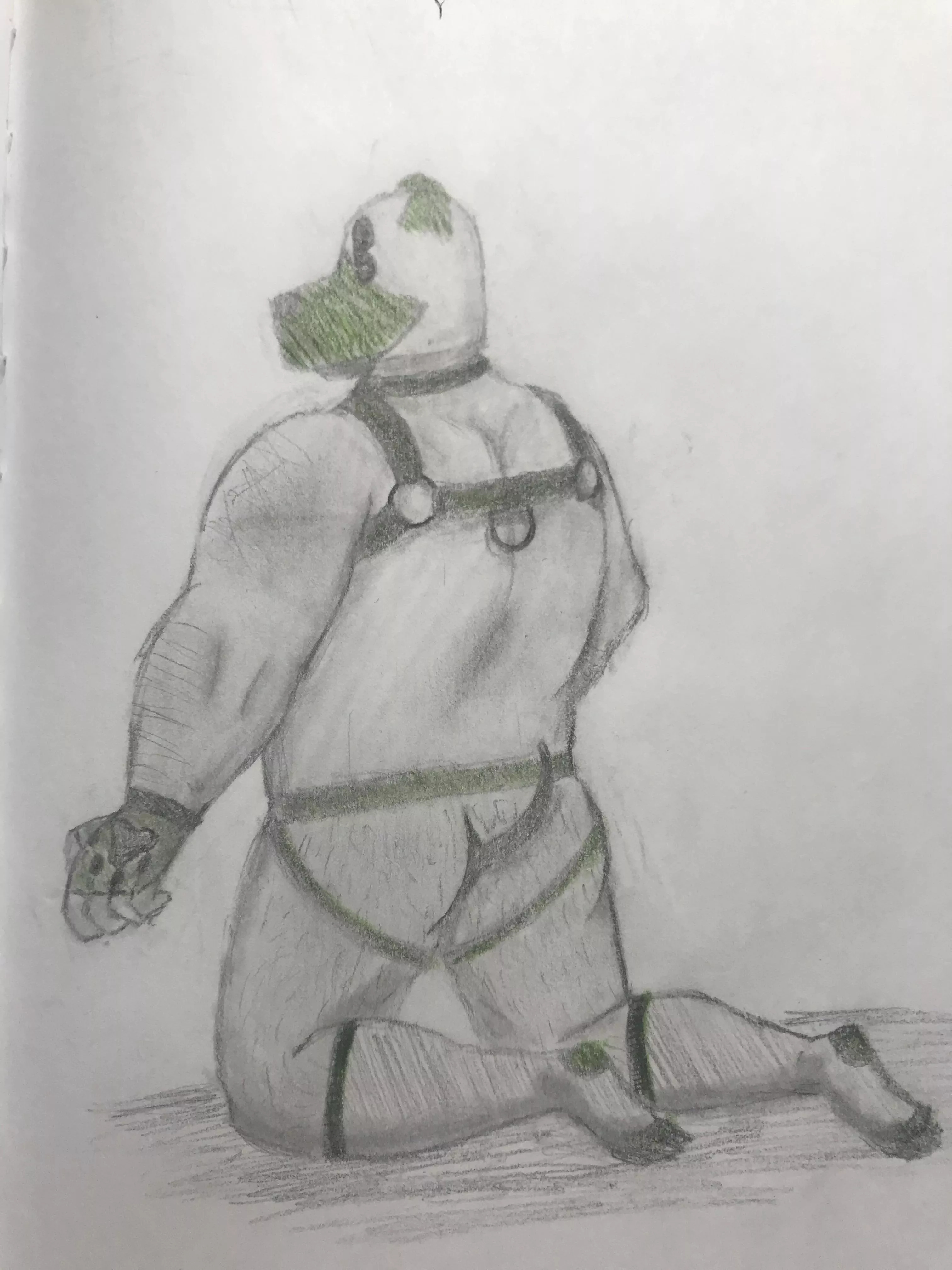 My 5th attempt at drawing bara art. I thought I’d try something kinky and work on backs. I always love criticism.