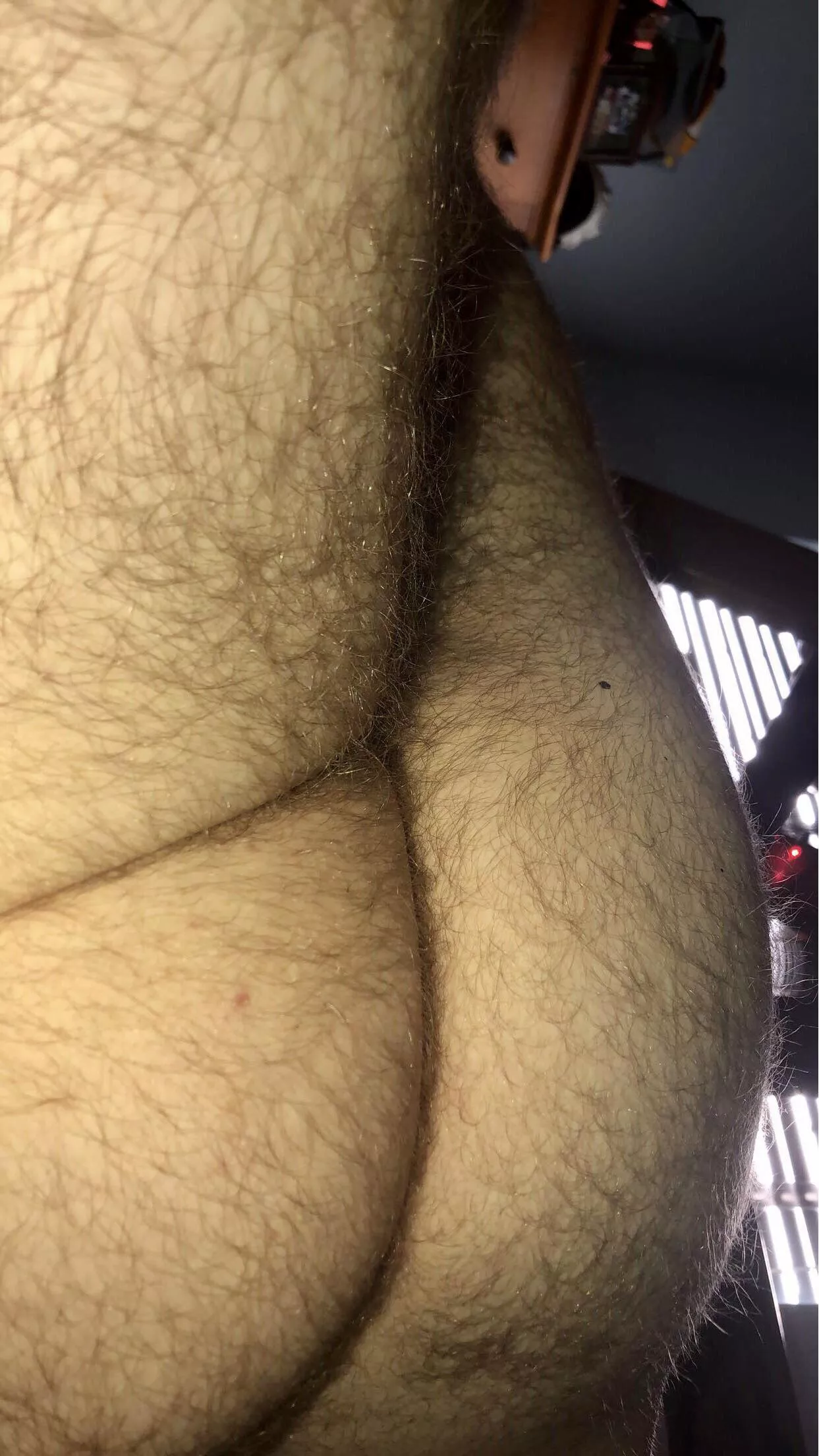 My ass has always been super hairy. (19)