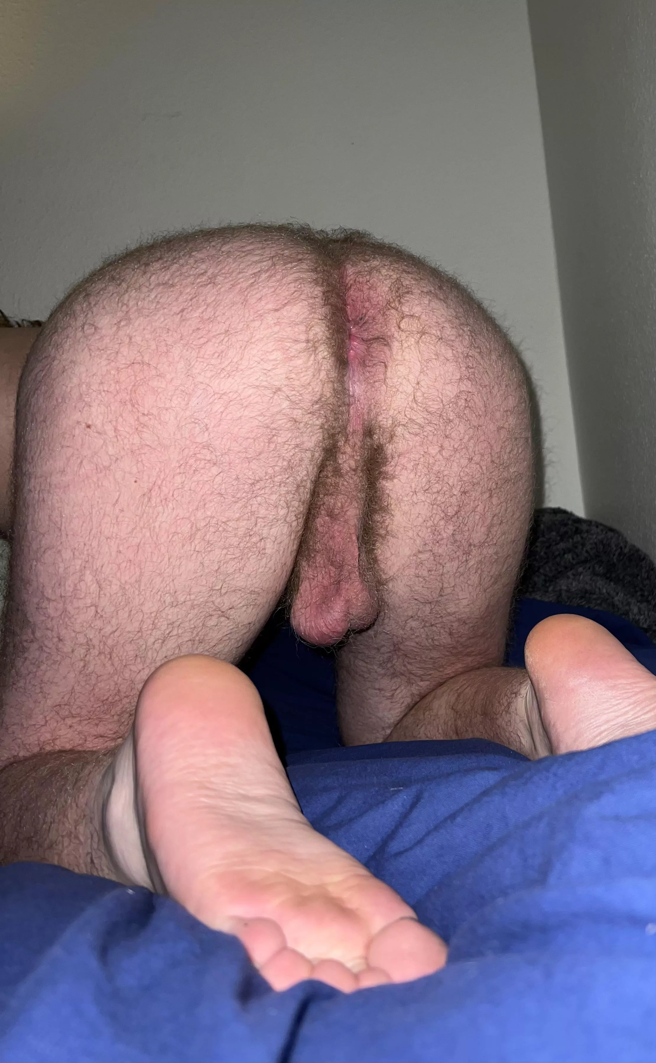 My ass is ready to please you