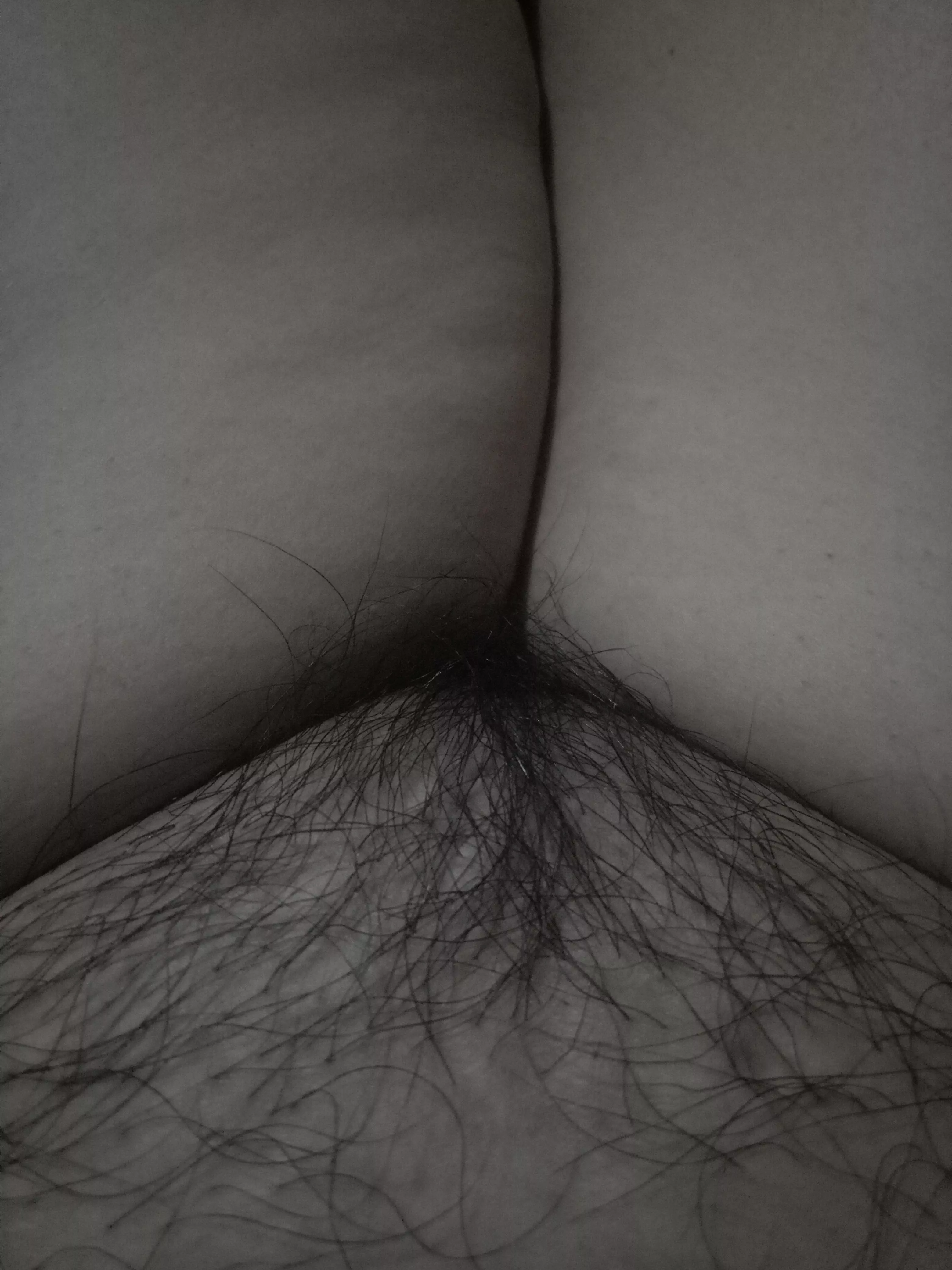 my biy fat hairy pussy