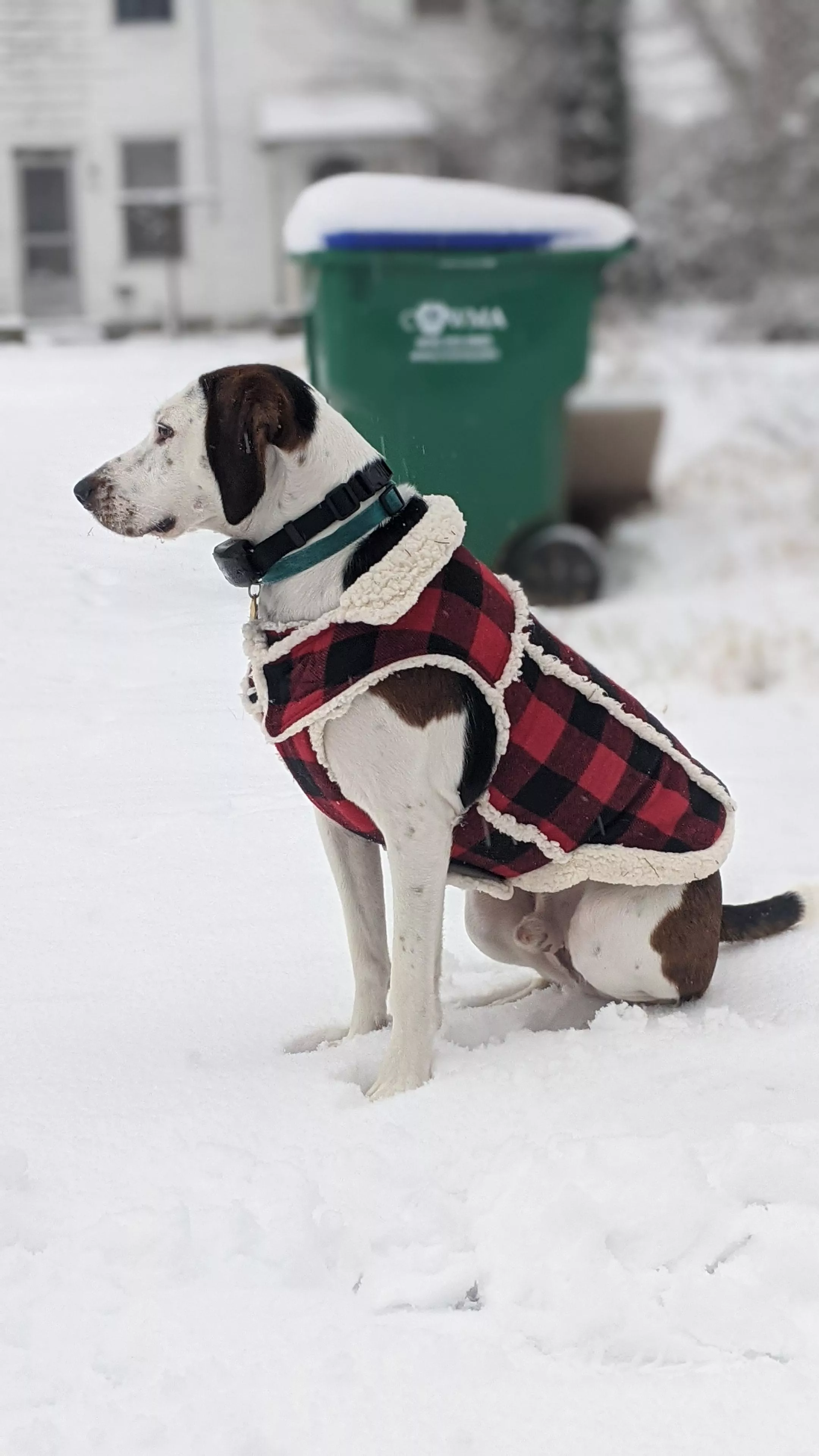 My boy, Jack, enjoying the snow day.